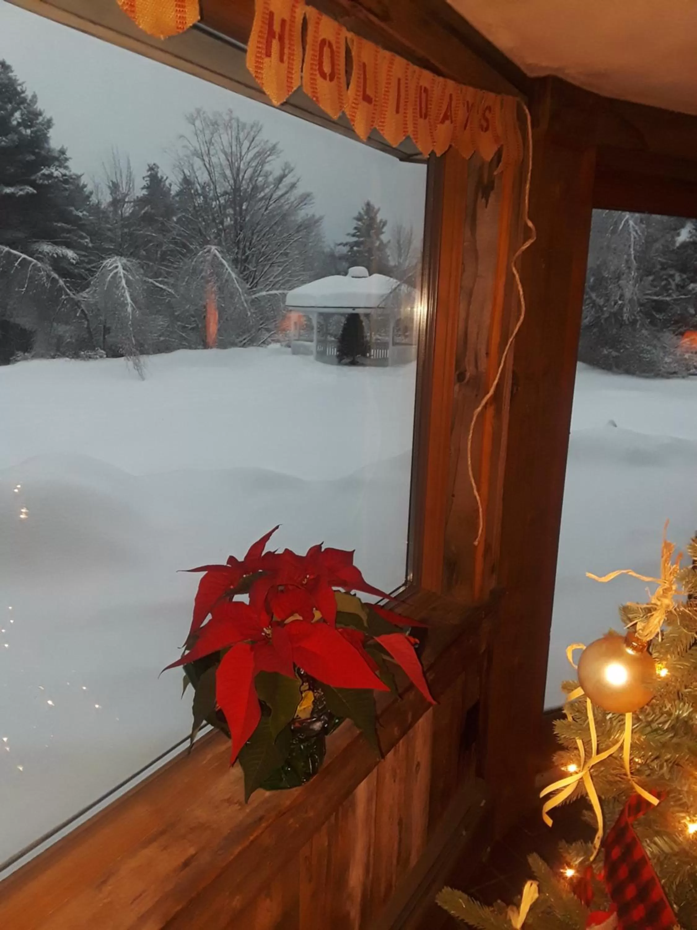 Winter in Summit Lodge