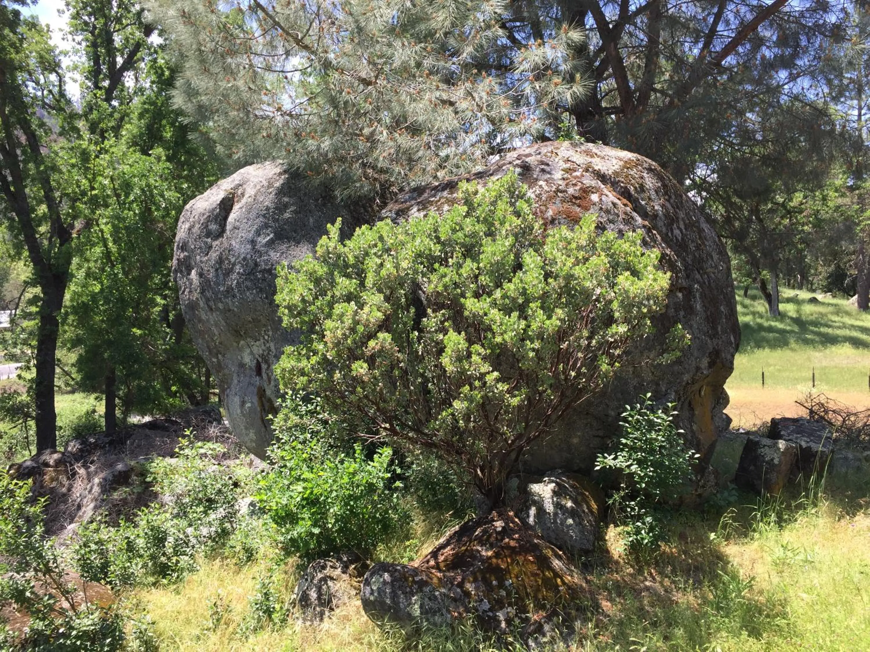 Day in Mountain Trail Lodge and Vacation Rentals