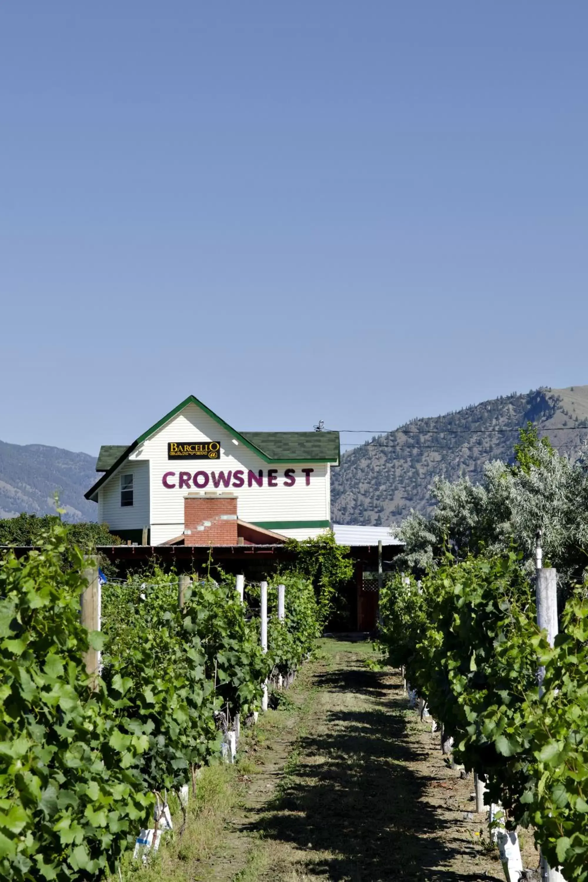 Natural landscape, Property Building in Crowsnest Vineyards Guesthouse