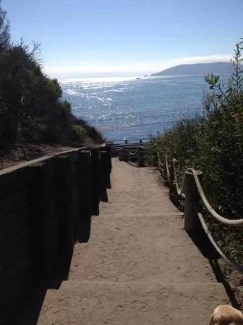 Beach in The Cliffs Hotel and Spa