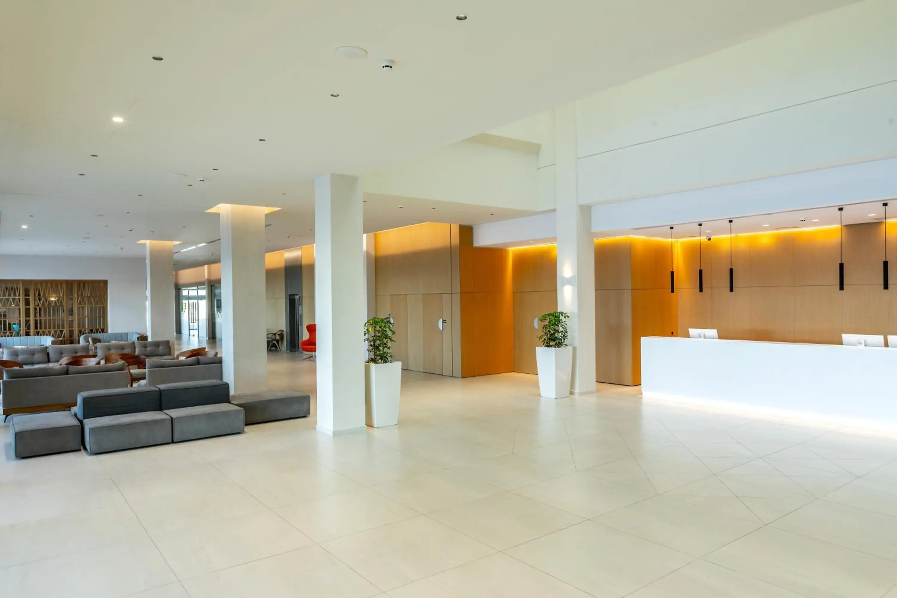 Lobby or reception, Lobby/Reception in Faros Hotel