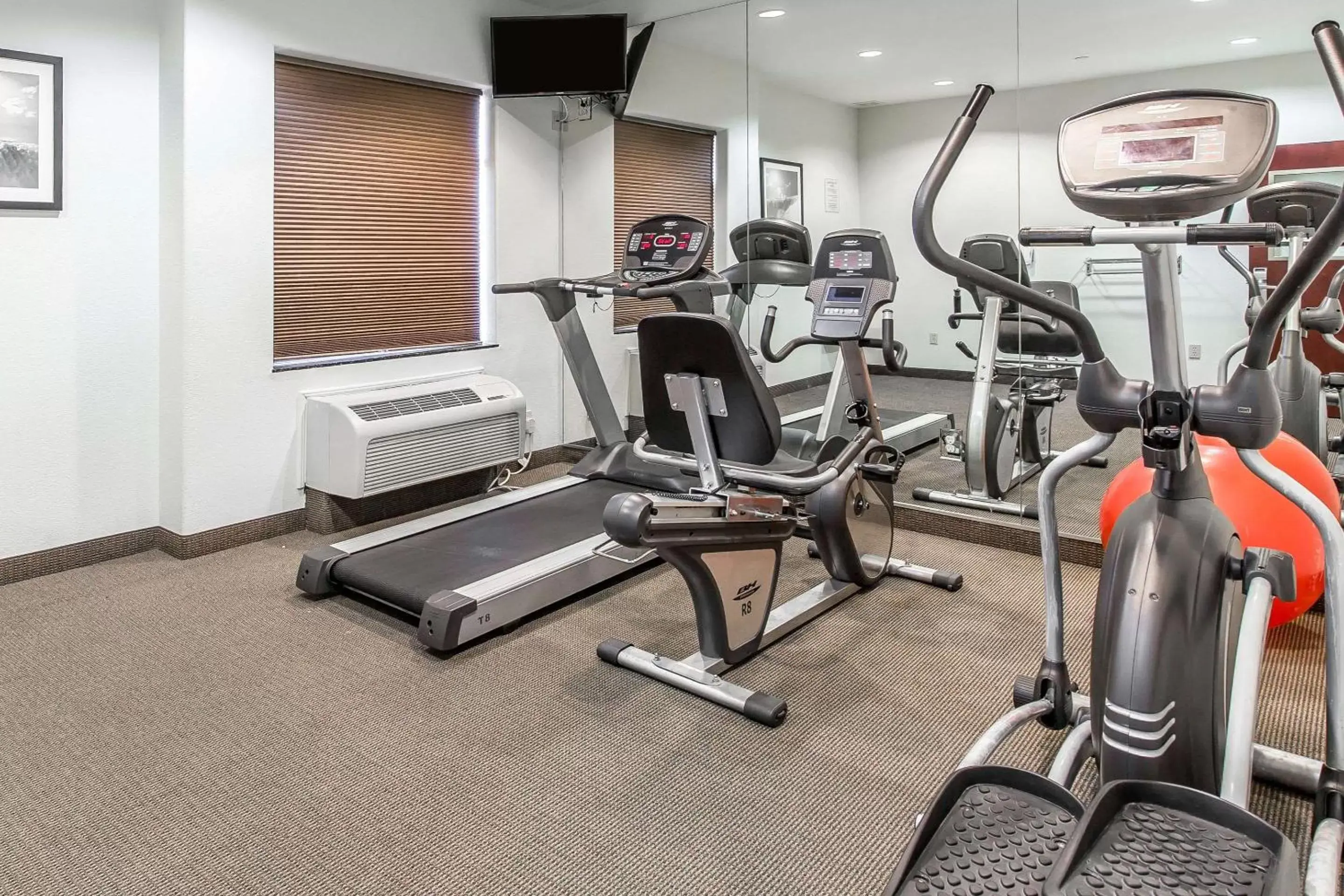 Fitness centre/facilities, Fitness Center/Facilities in Sleep Inn & Suites Bush Intercontinental - IAH East