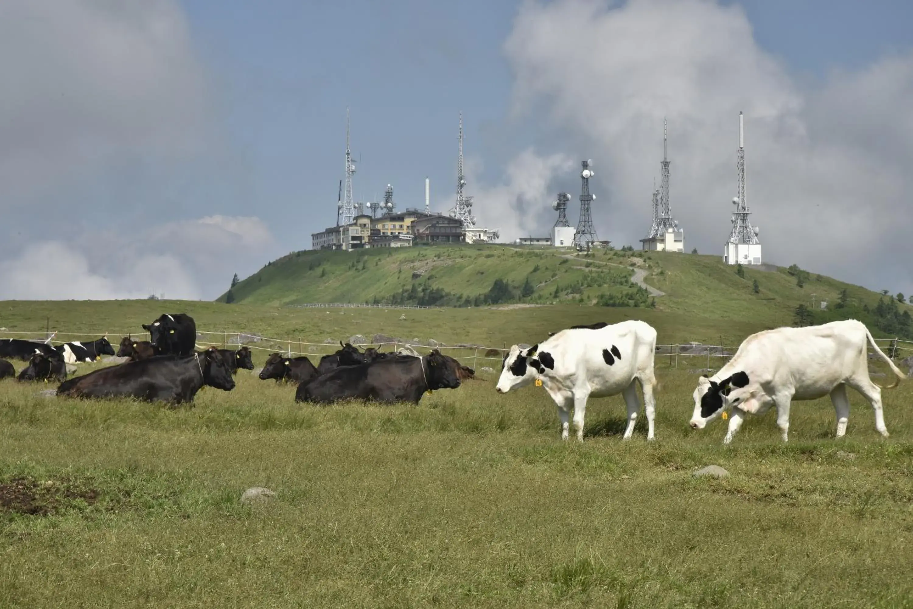 Nearby landmark, Other Animals in Hotel Montagne Matsumoto