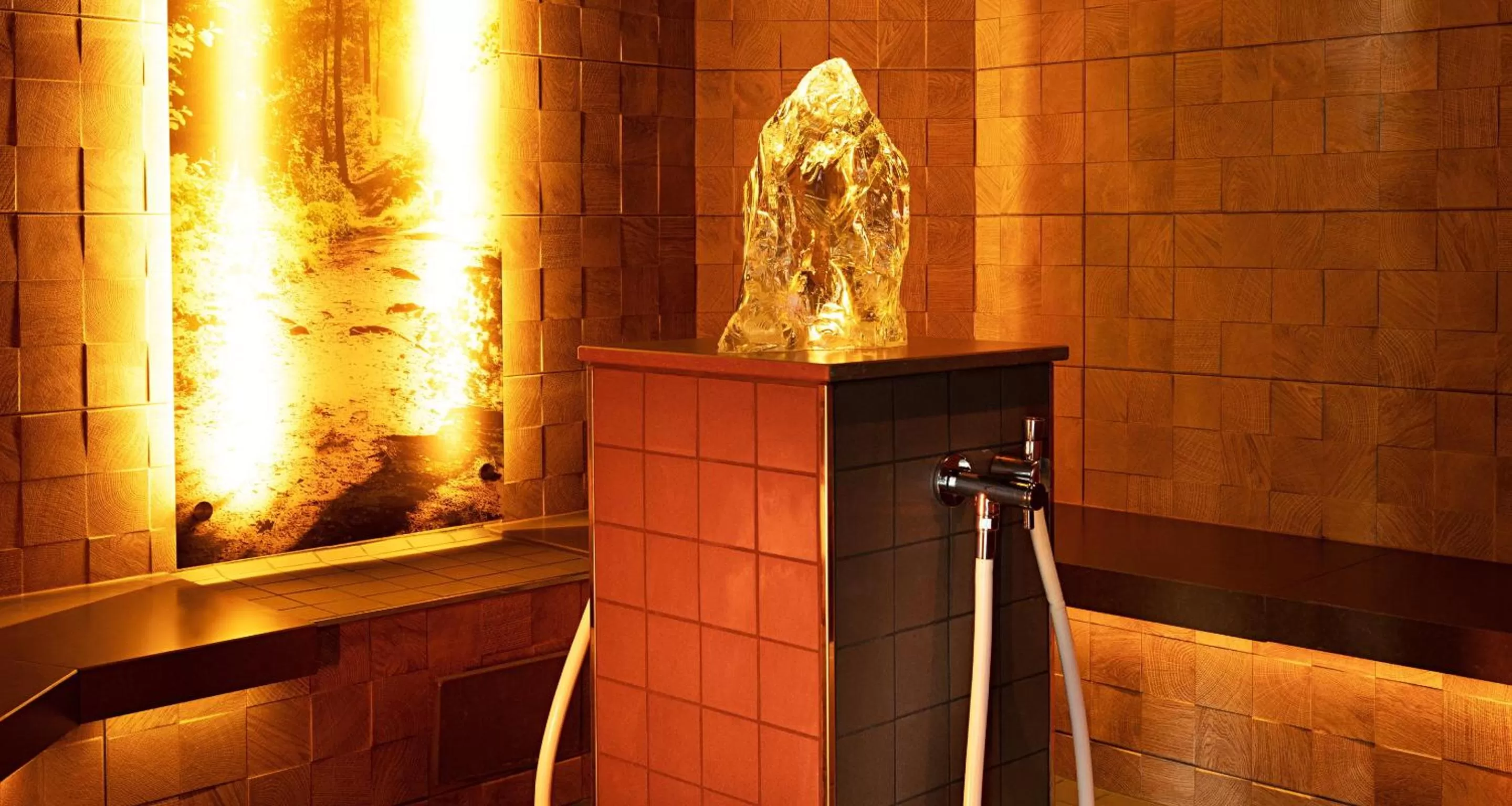 Sauna in Victor's Residenz-Hotel Teistungenburg