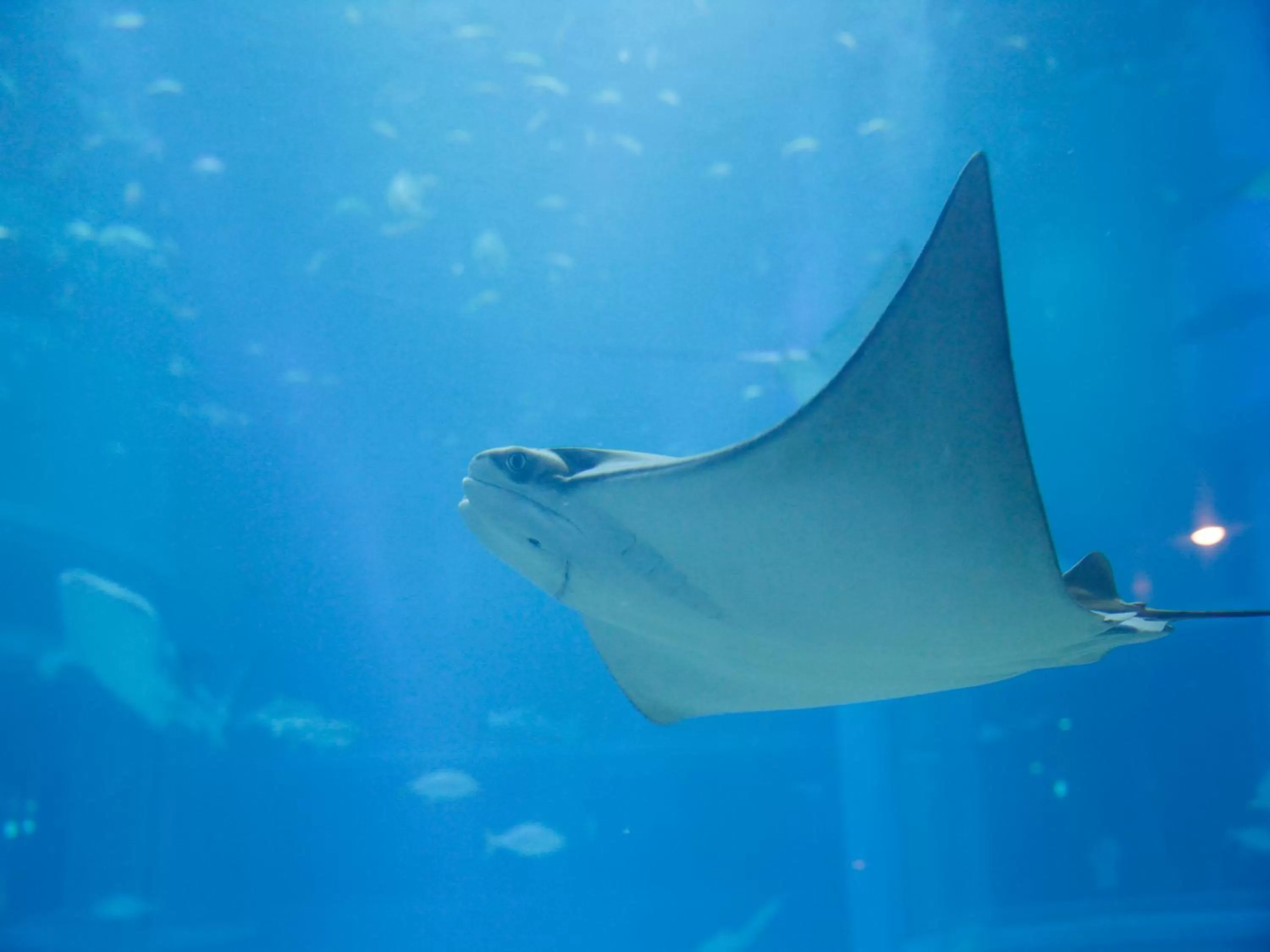 Nearby landmark in Hotel Wing International Select Osaka Umeda