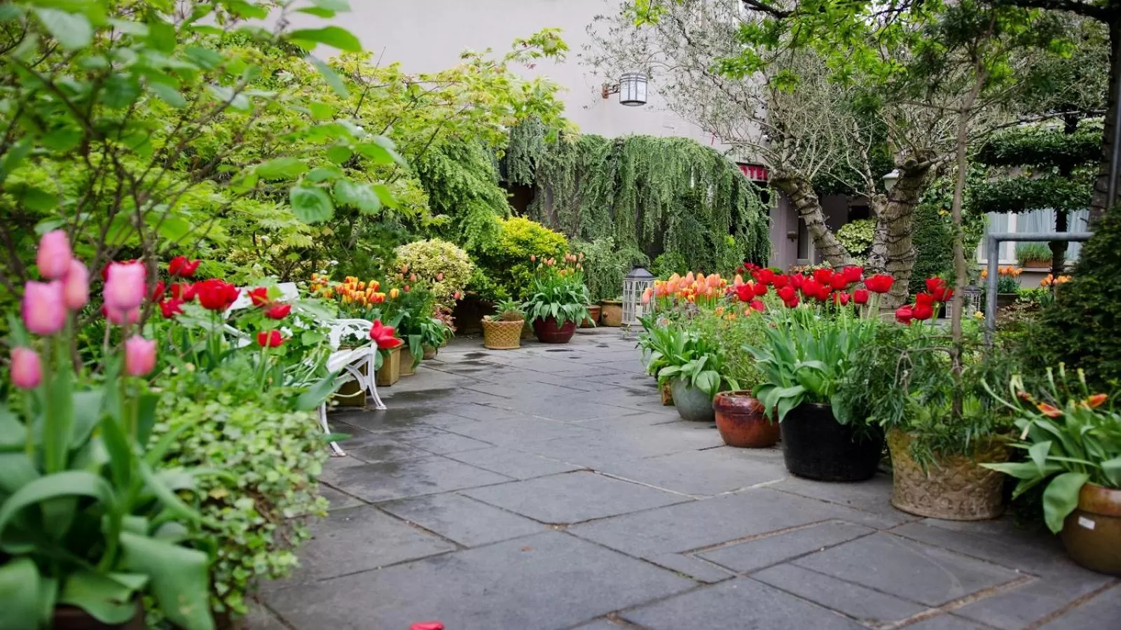 Garden in Riverbank House Hotel