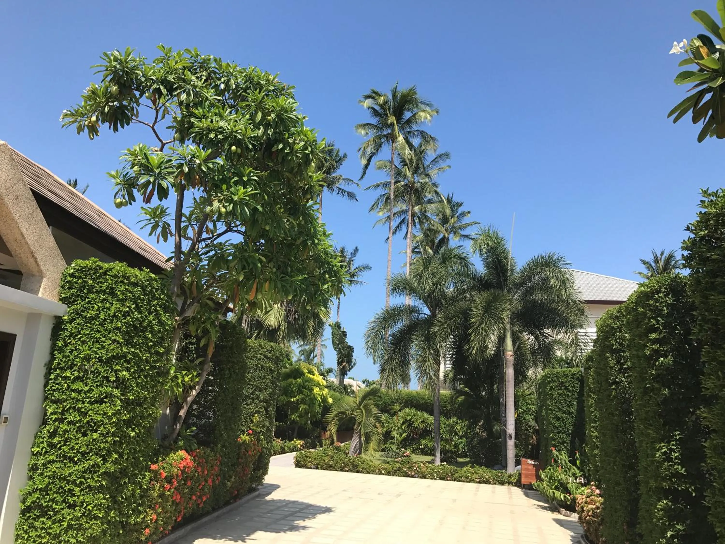 Natural landscape in Samui Boat Lagoon