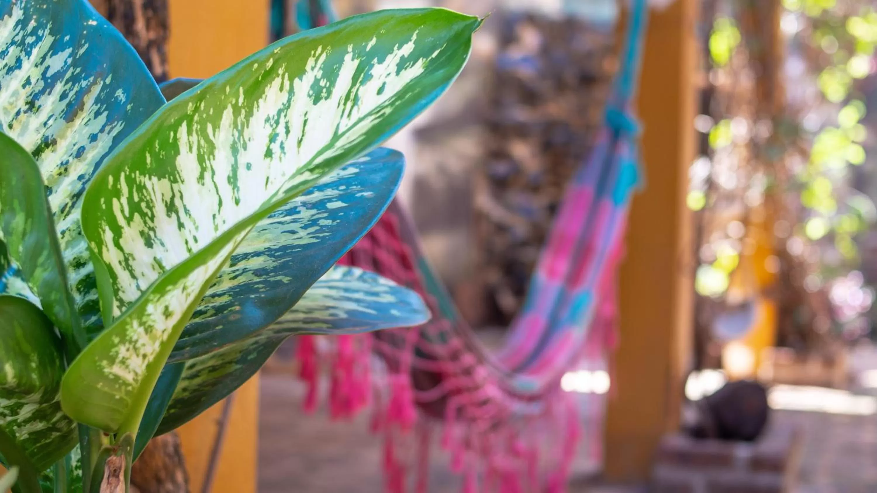 Decorative detail in Posada Los Tajibos