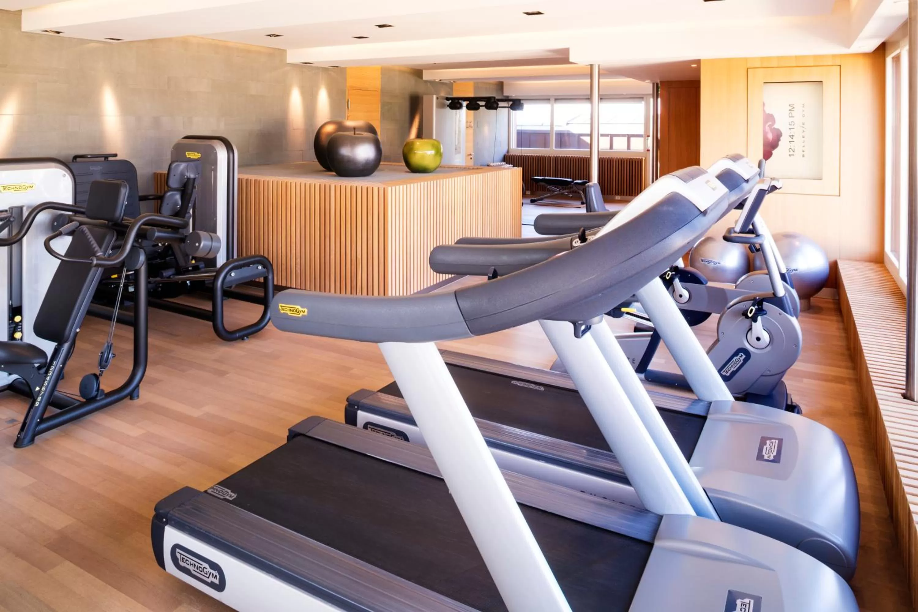 Fitness centre/facilities in Hotel Bellevue Palace Bern