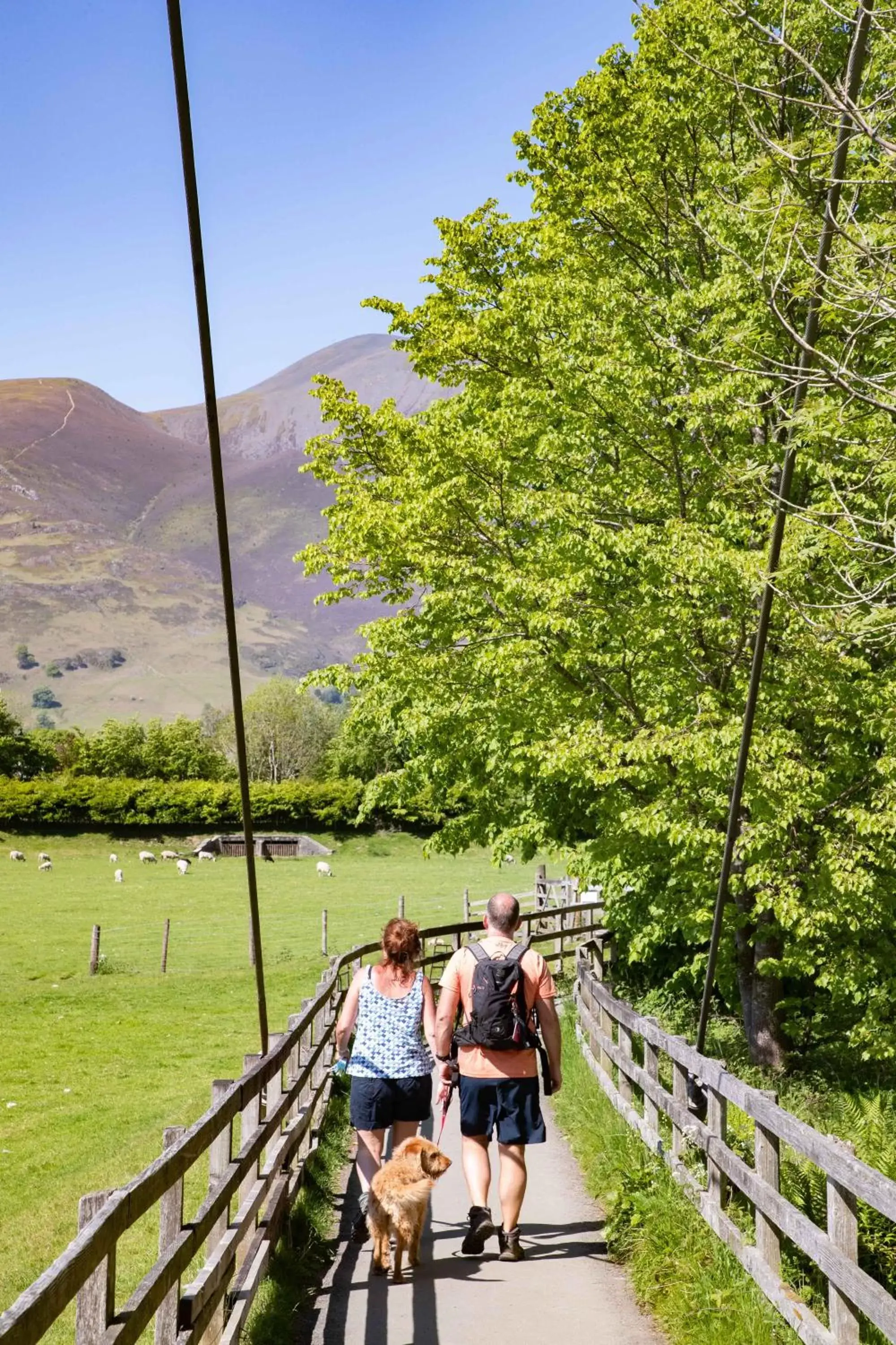 Activities in The Derwentwater Hotel