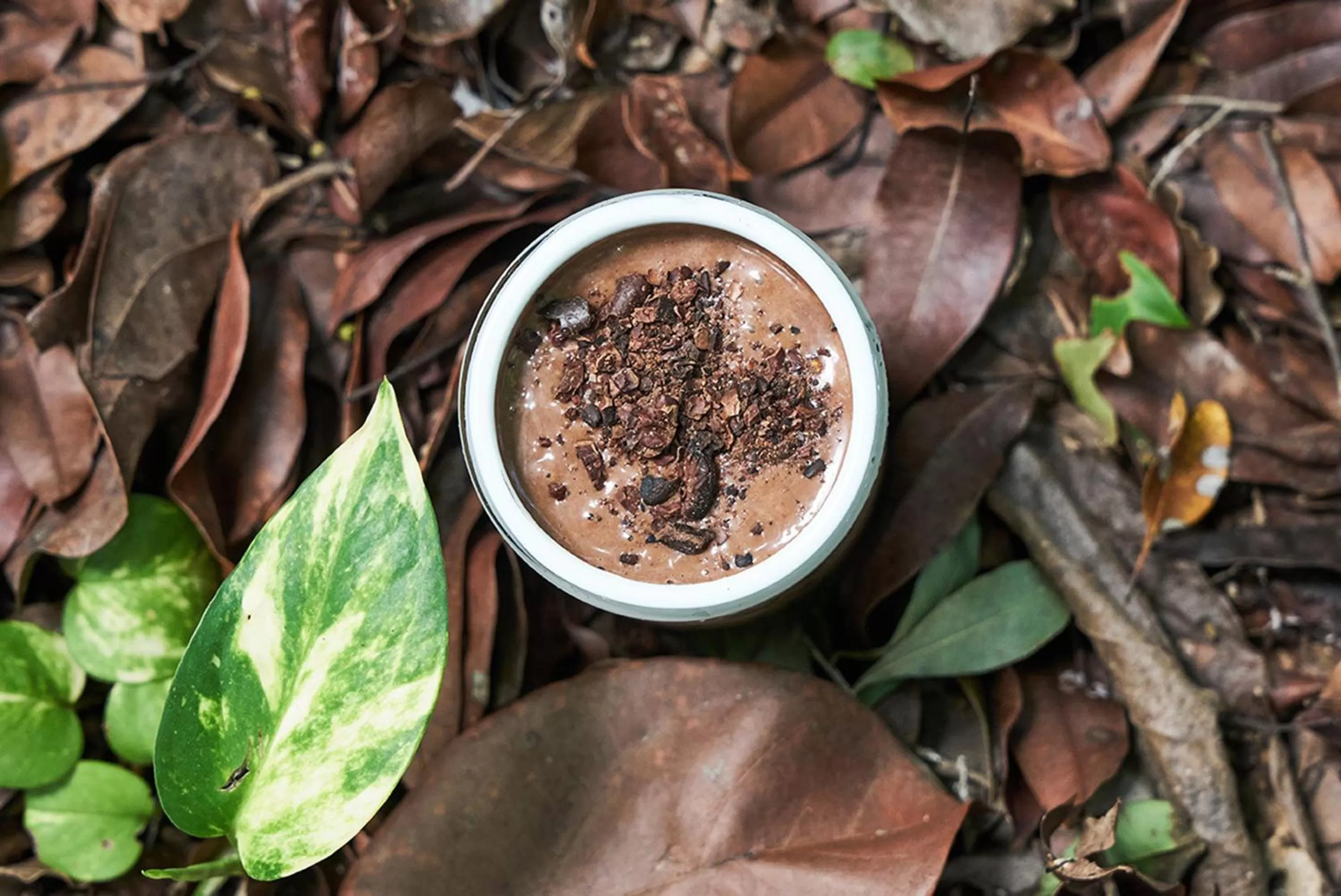 Restaurant/places to eat in Hotel Holistika Tulum