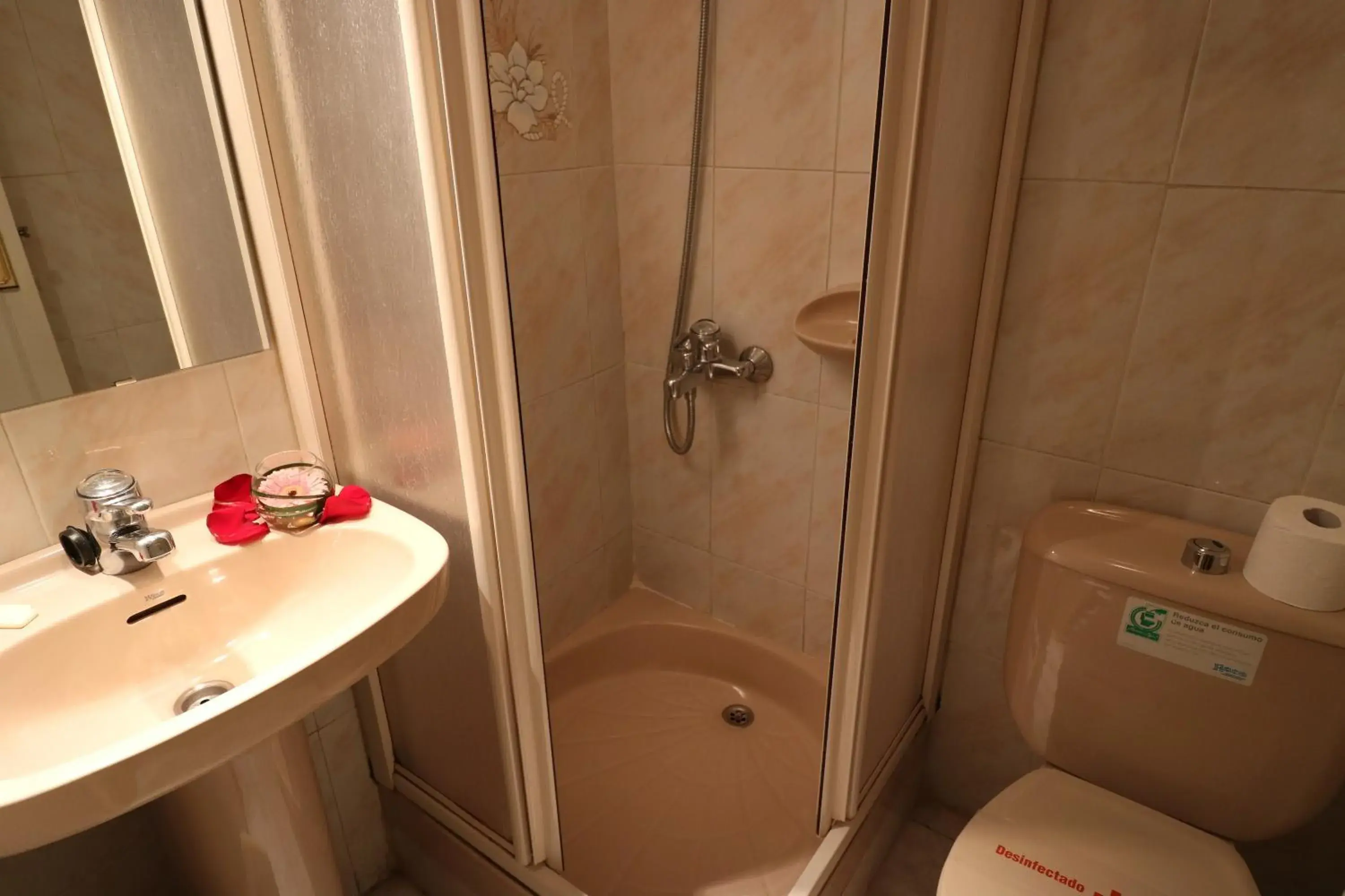 Shower, Bathroom in Hostal Hispano - Argentino