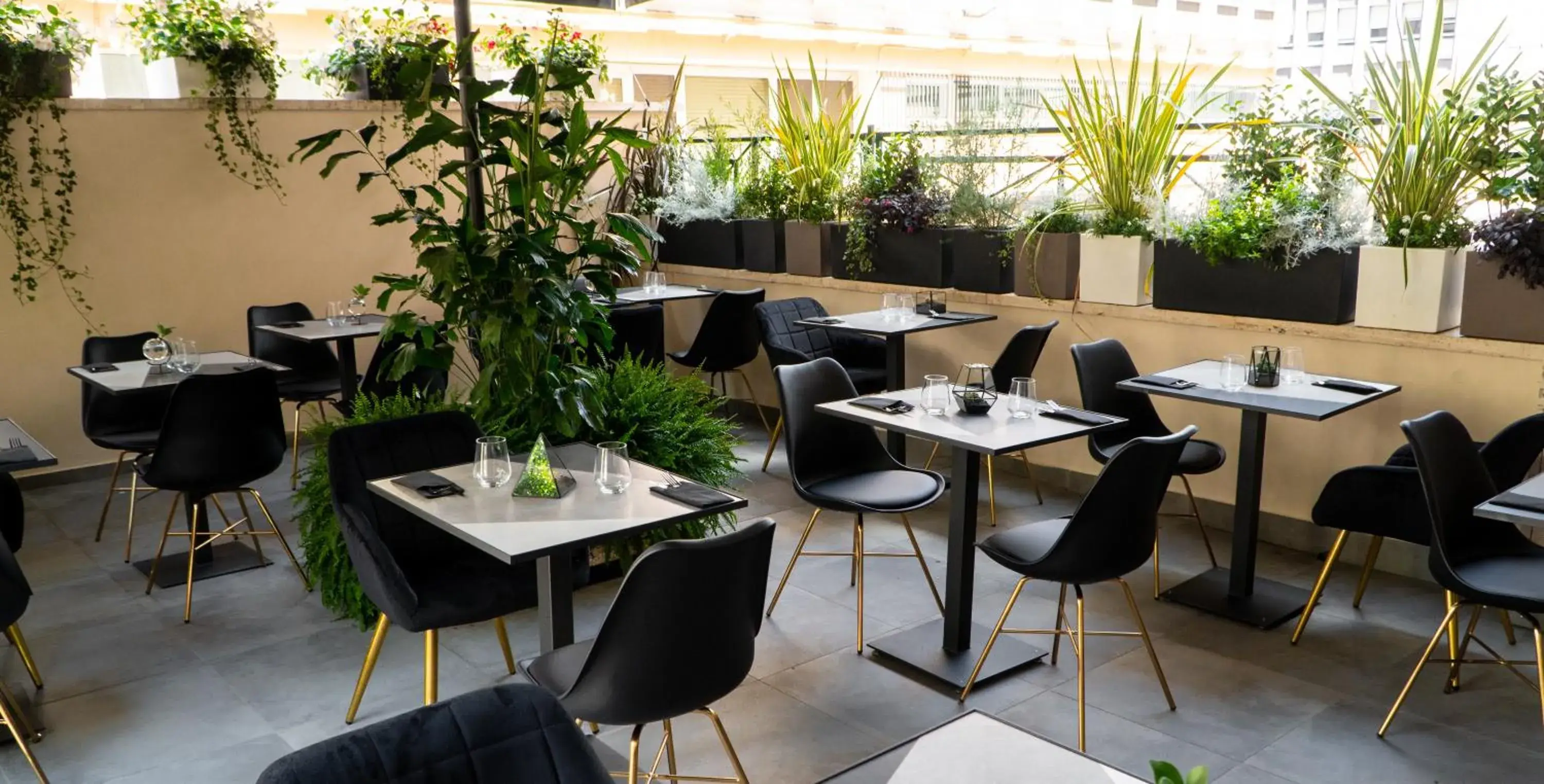 Garden, Restaurant/Places to Eat in Apollo Boutique Hotel