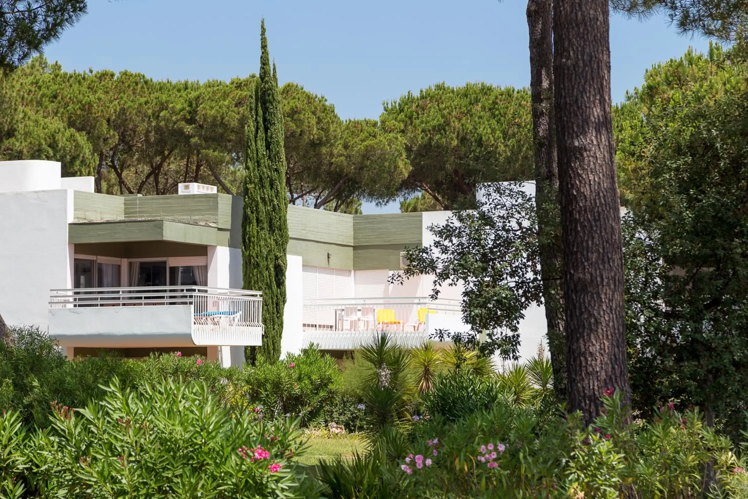 Garden view in Apartamentos Turisticos Pinhal Da Marina Garden view in Apartamentos Turisticos Pinhal Da Marina