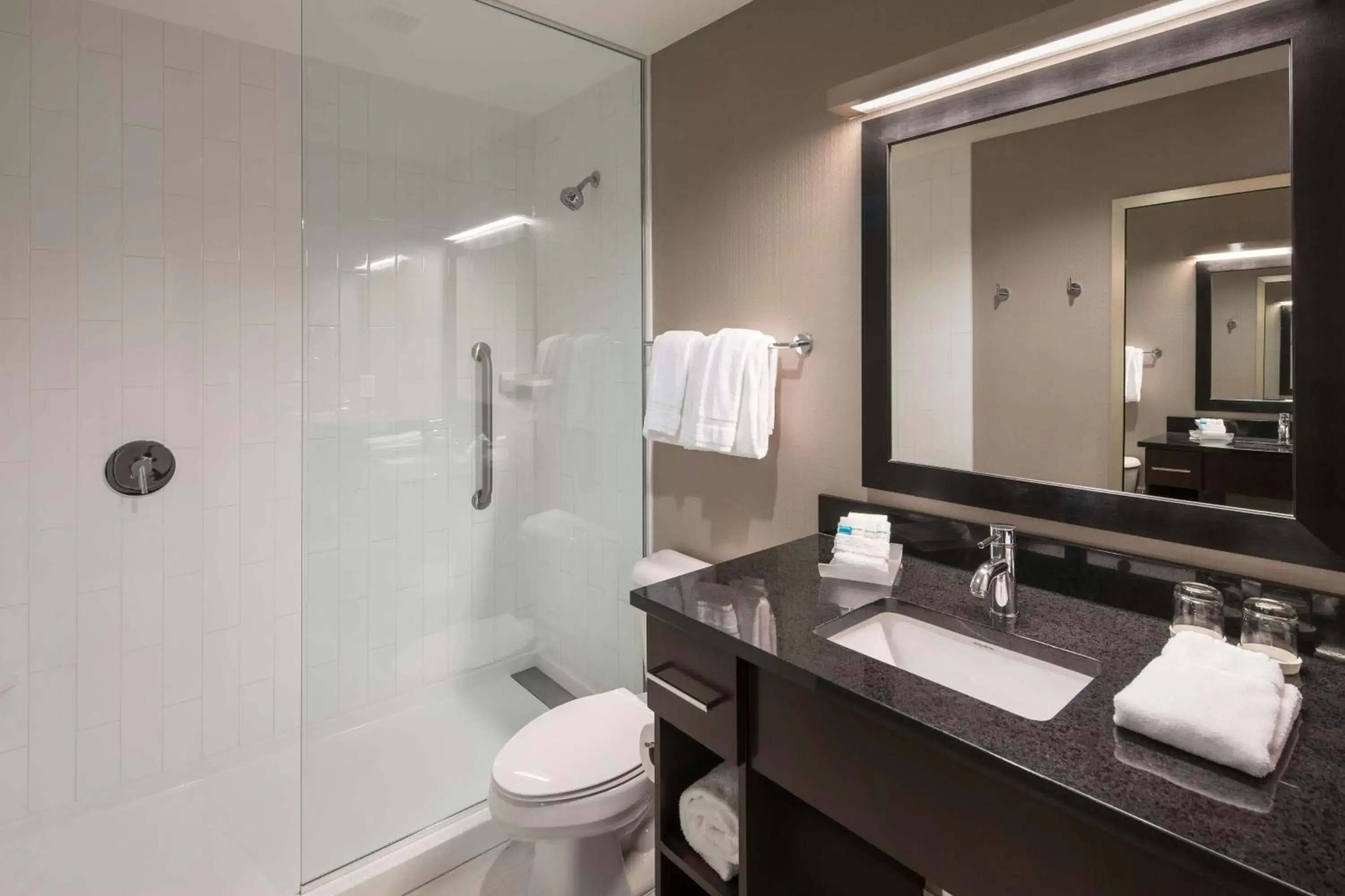 Bathroom in Homewood Suites- Denver Downtown Convention Center
