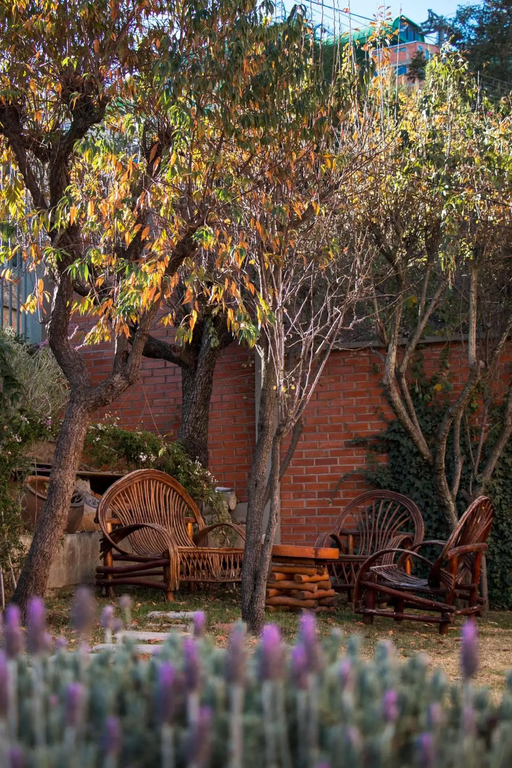 Garden in Qhini Hotel Boutique