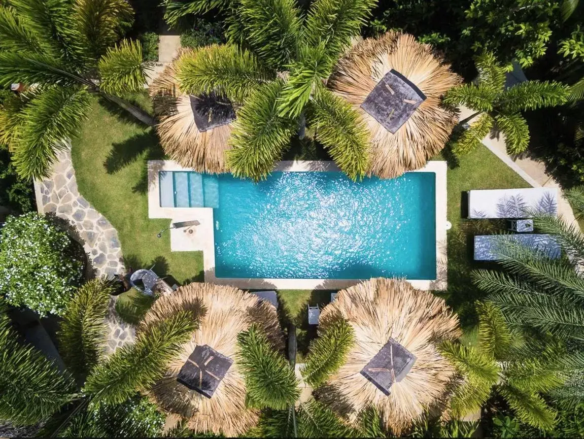 Bird's eye view, Pool View in Mahona Boutique Hotel