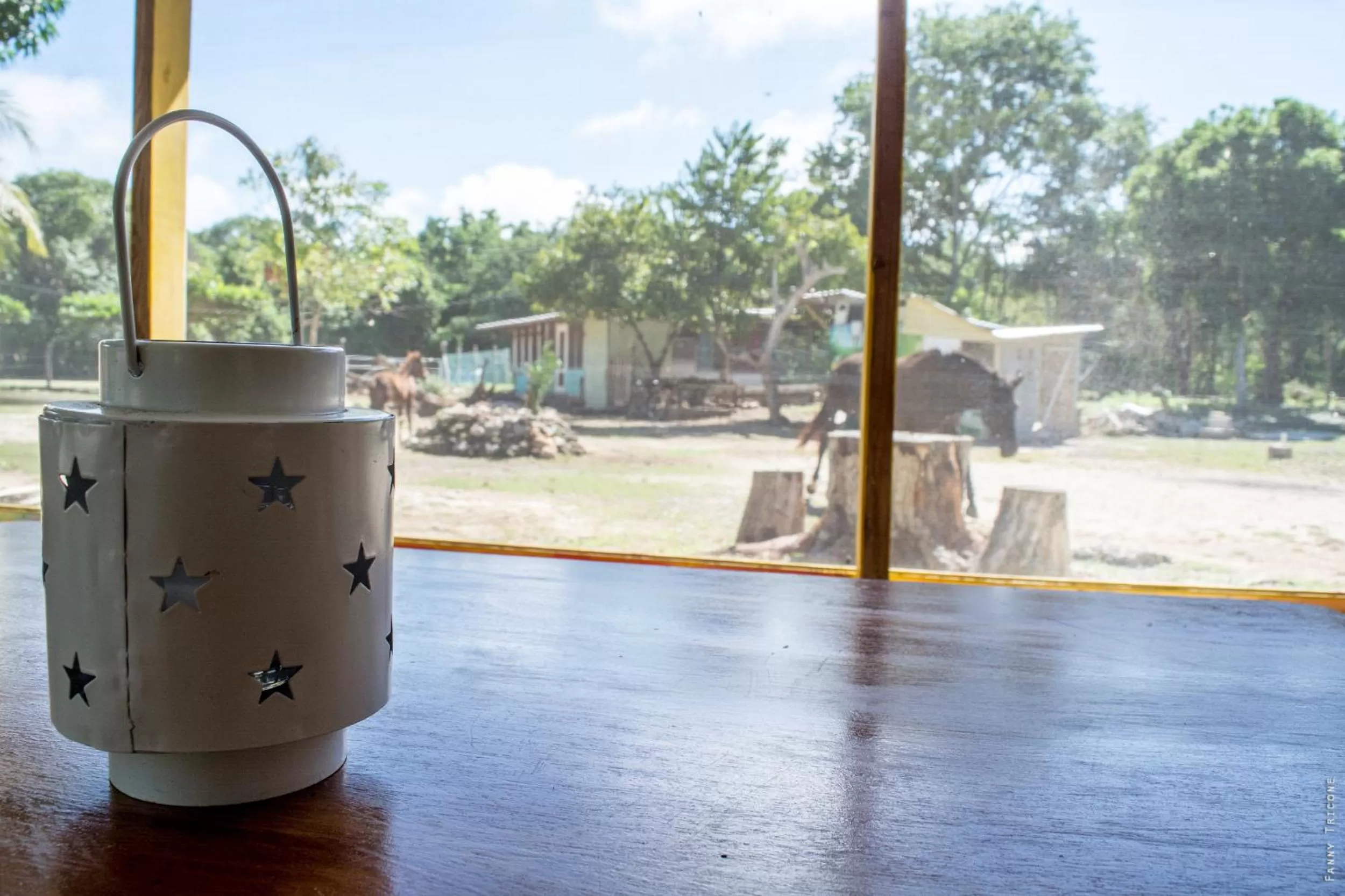 Communal lounge/ TV room in Horse Cottage