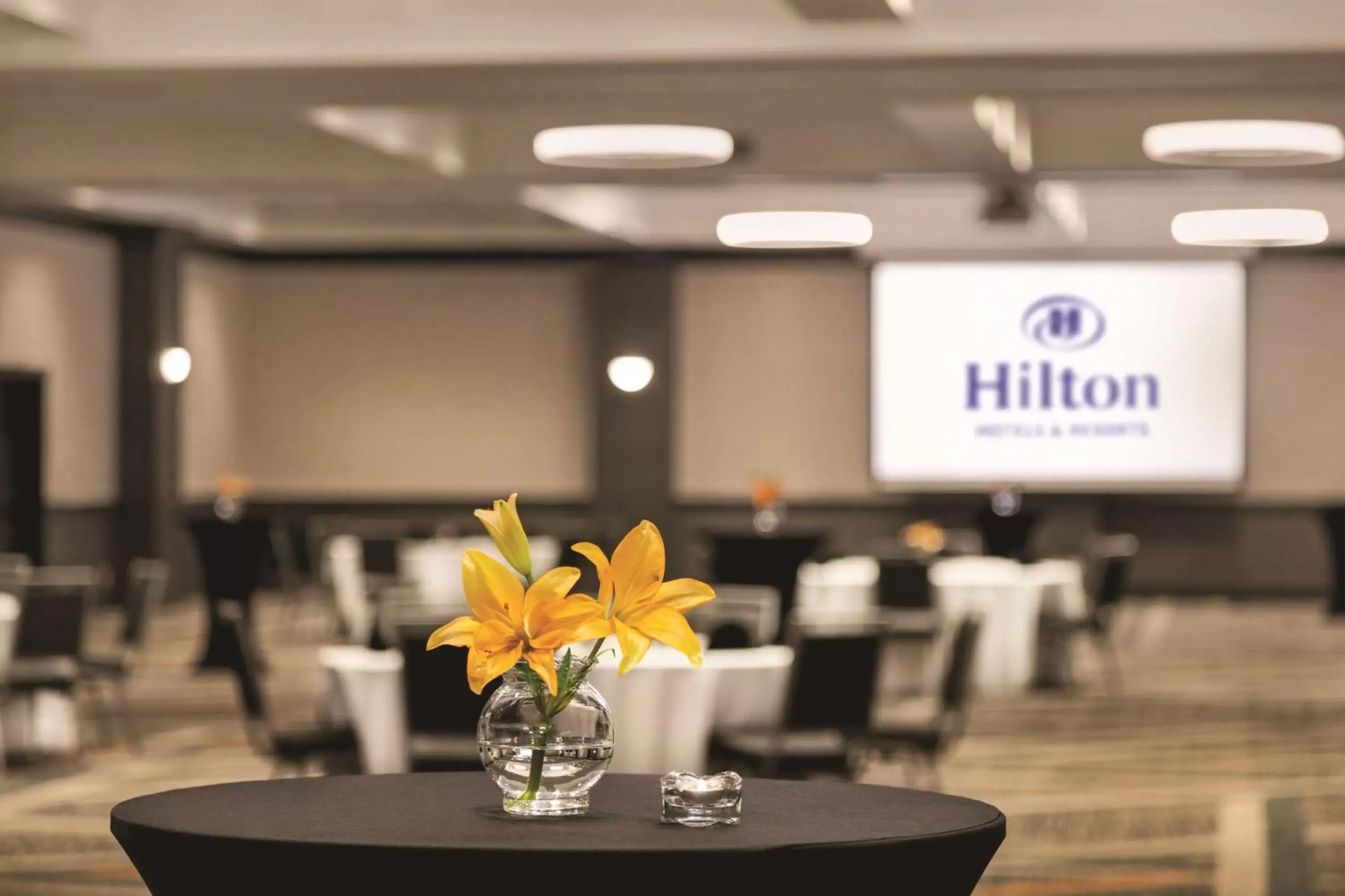 Meeting/conference room, Restaurant/Places to Eat in Hilton Knoxville Airport