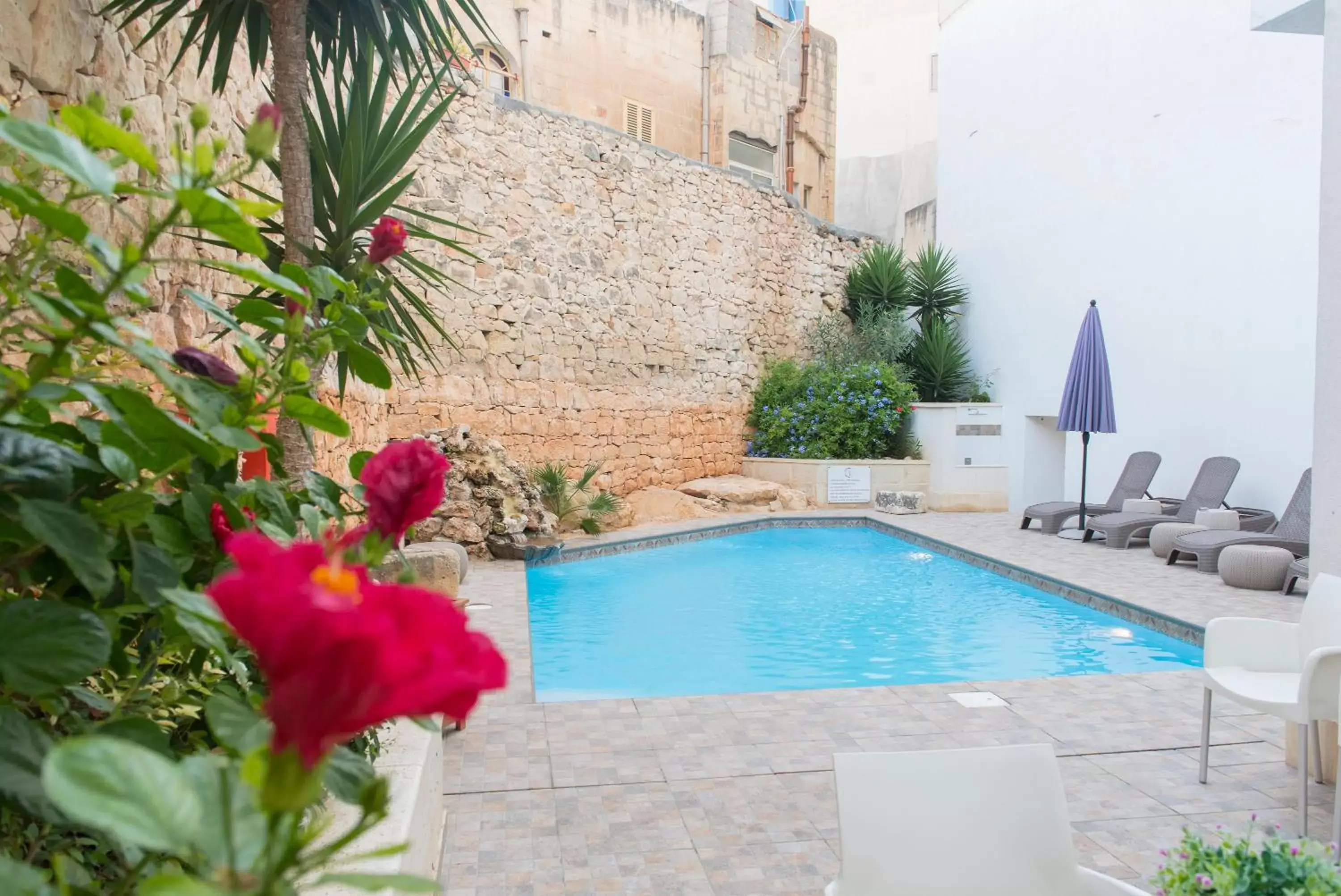 Balcony/Terrace, Swimming Pool in Palazzo Violetta Boutique Hotel