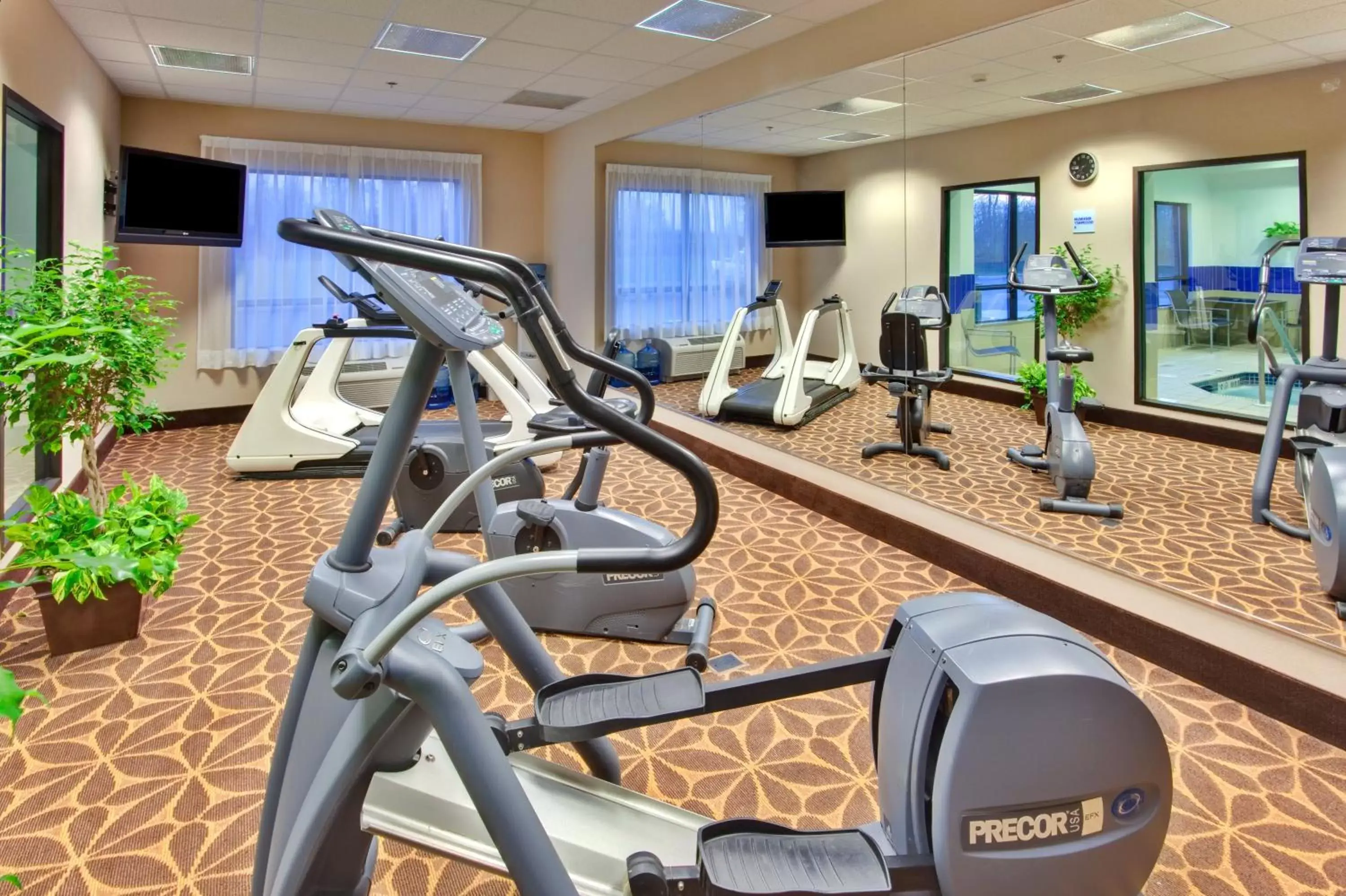 Spa and wellness centre/facilities, Fitness Center/Facilities in Holiday Inn Express Hotel & Suites Brockville, an IHG Hotel