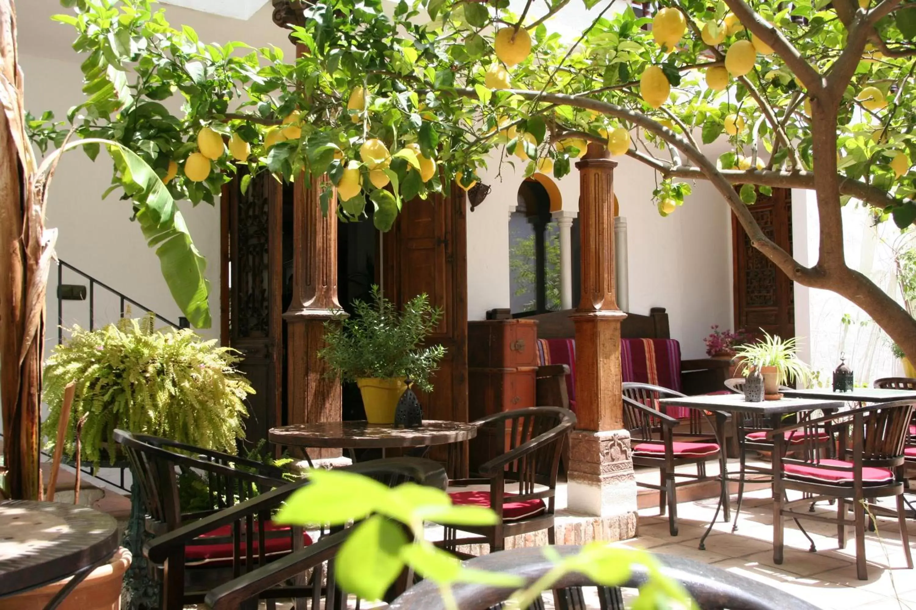 Garden, Restaurant/Places to Eat in La Posada del Angel