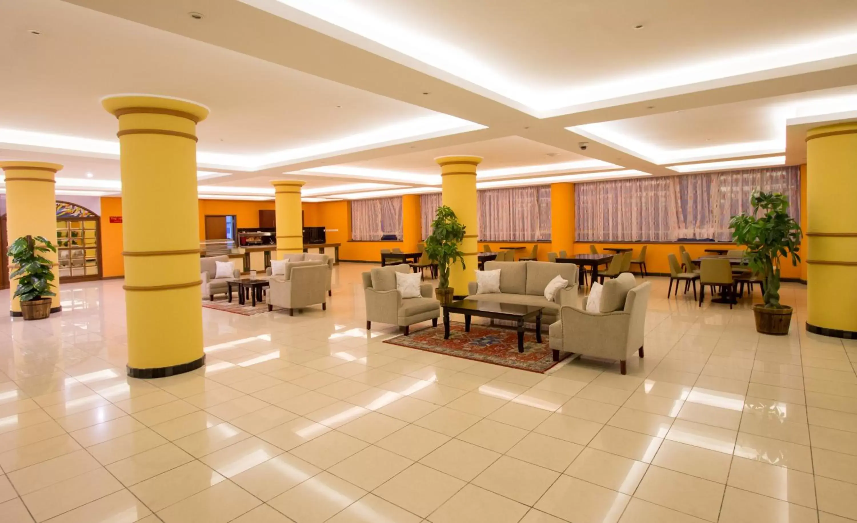 Area and facilities, Lobby/Reception in The Panari Hotel