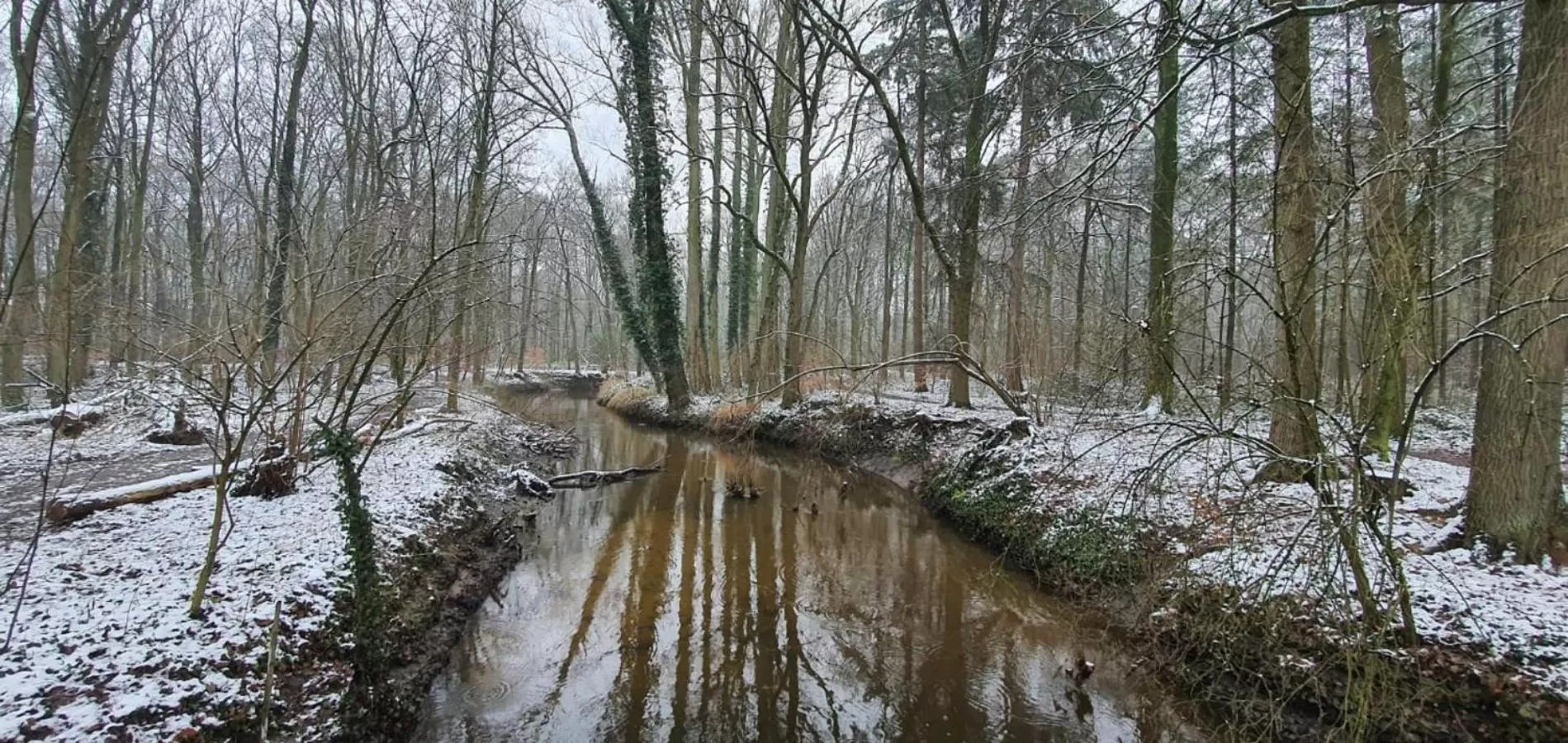Area and facilities, Winter in Hotel Restaurant Roerdinkhof