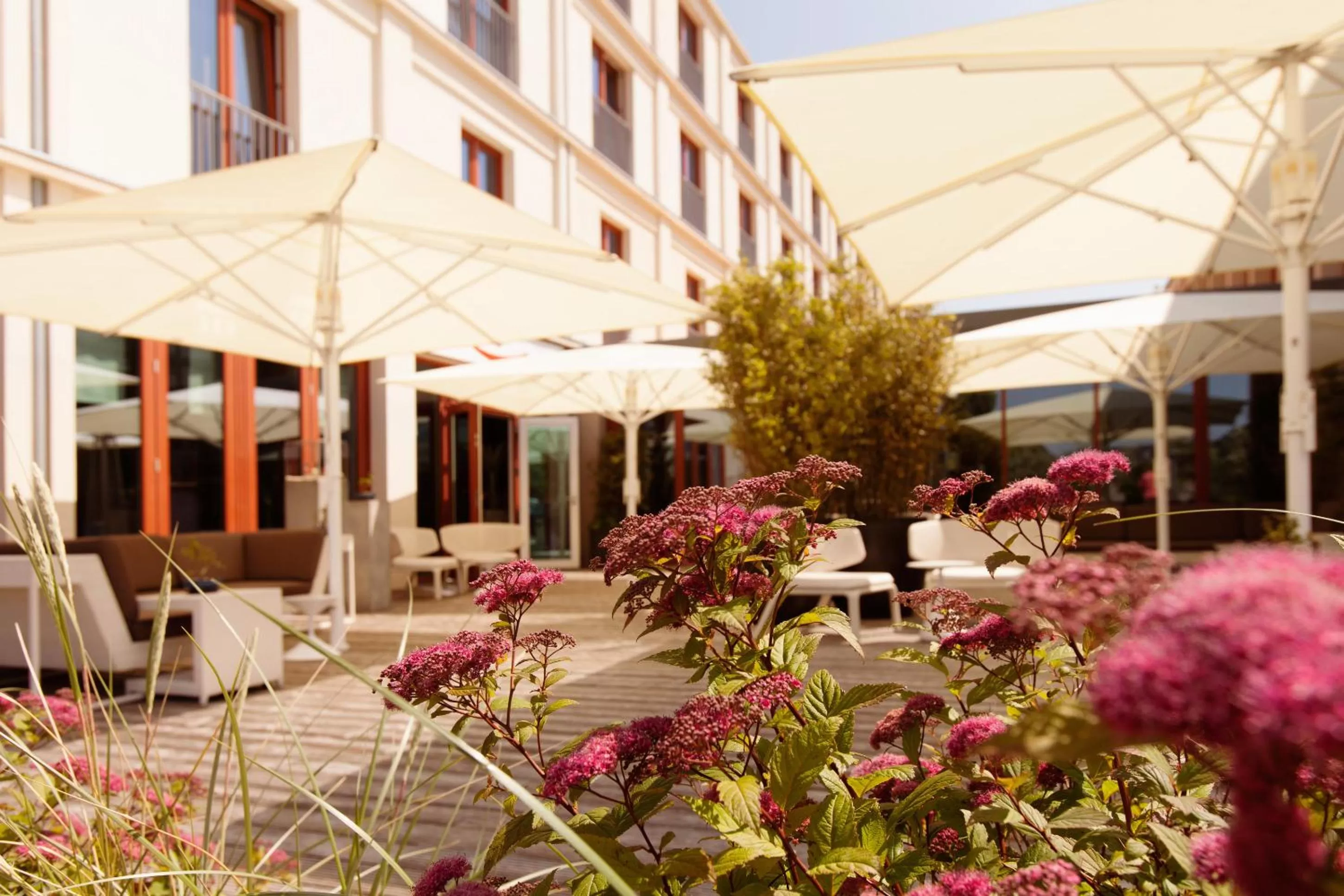 Restaurant/places to eat in A-ROSA Sylt