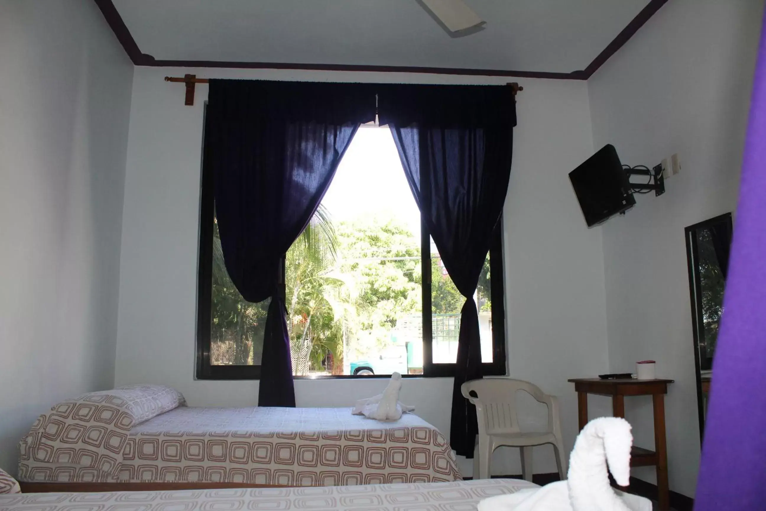 Bed in Hotel Palmarito