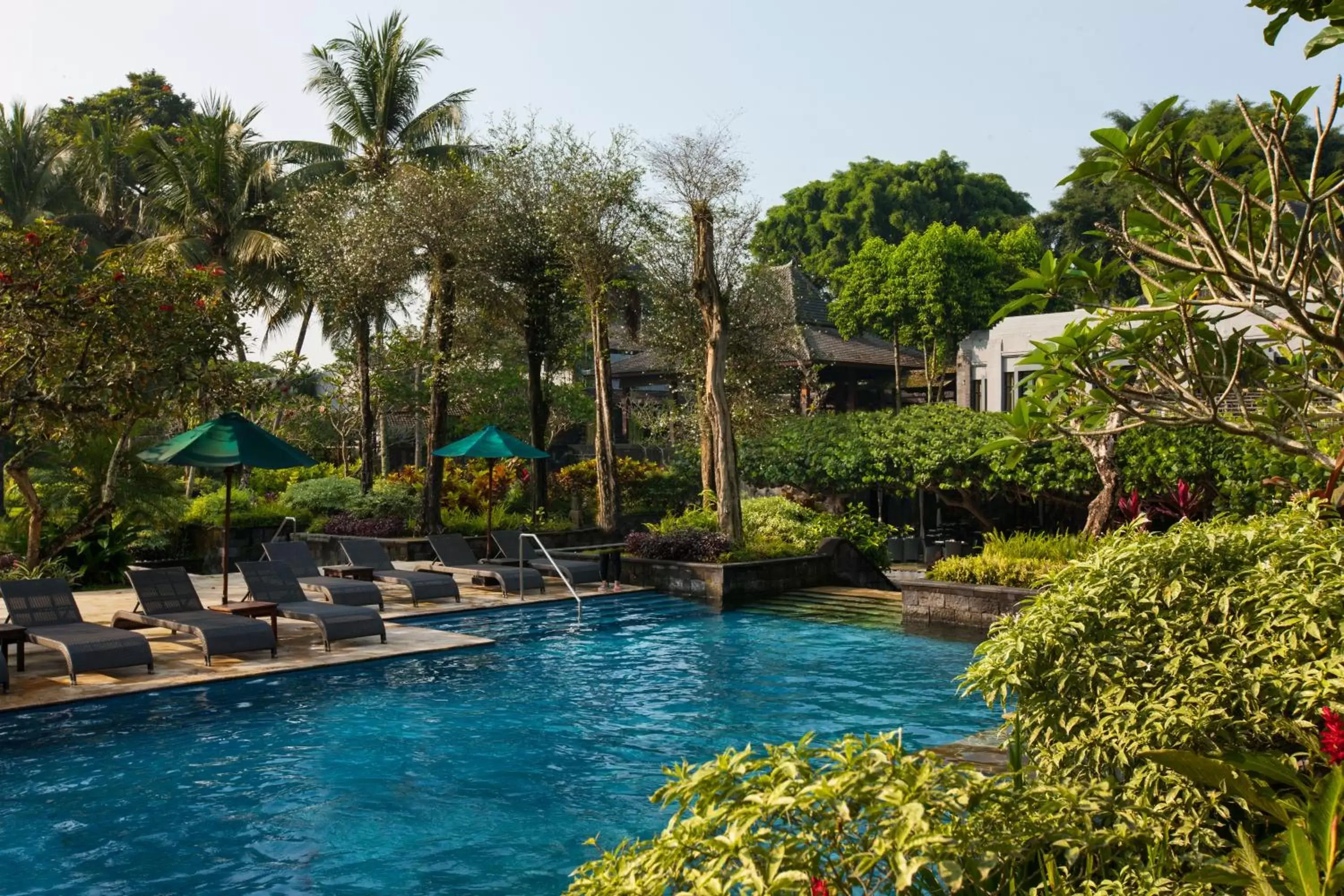 Swimming Pool in Hyatt Regency Yogyakarta