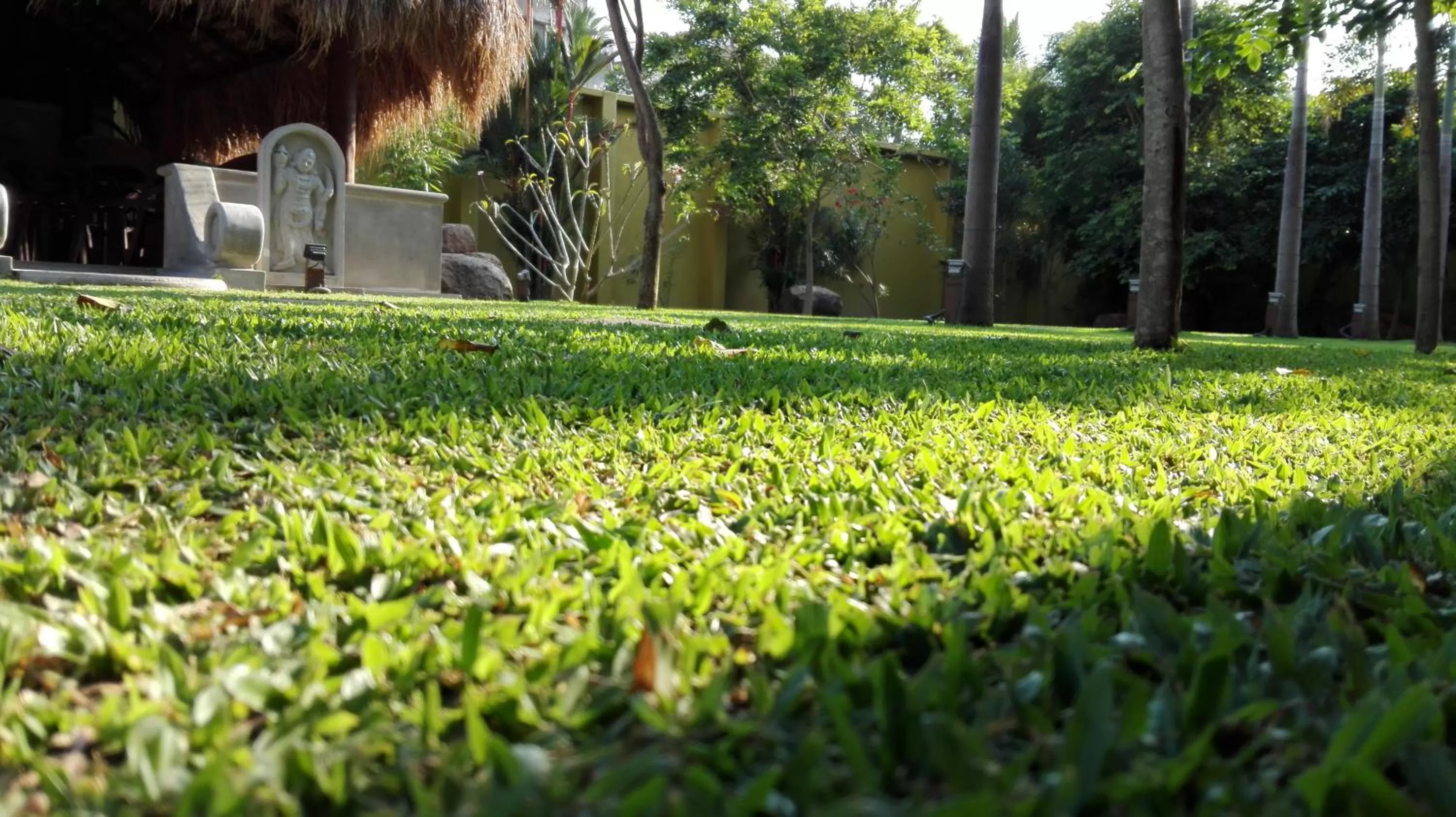 Garden in Inlak Garden Hotel
