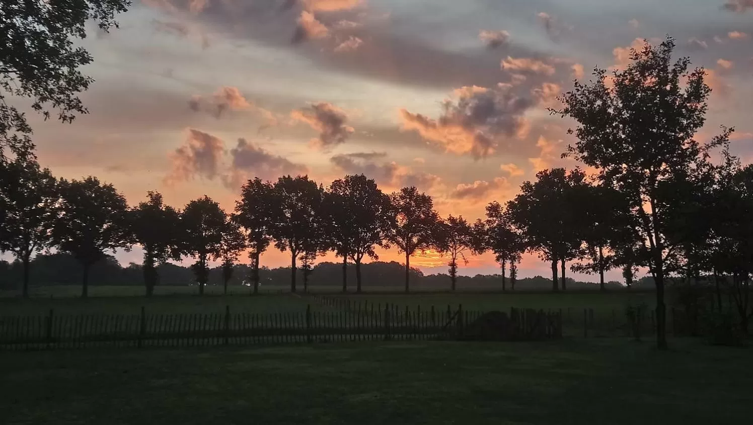 View (from property/room) in 't Rond Bargie