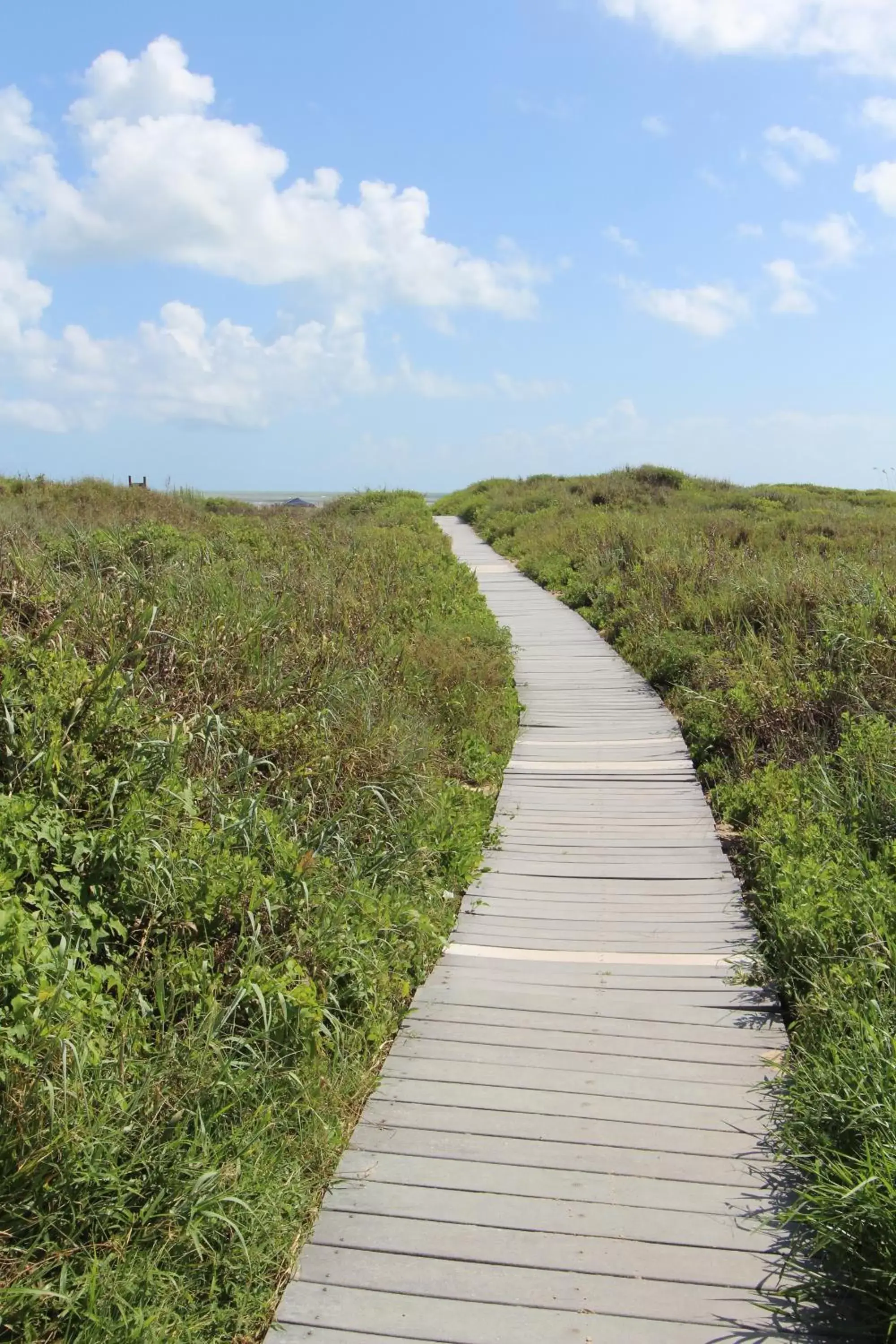 Natural Landscape in Royale Beach and Tennis Club, a VRI resort