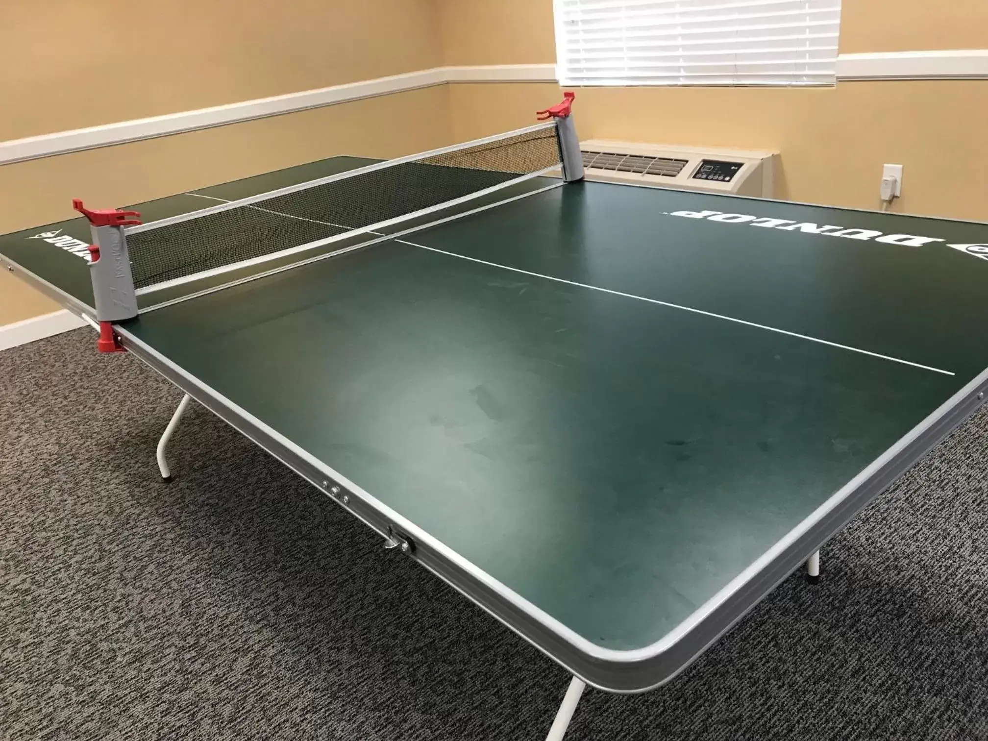 Activities, Table Tennis in Varsity Clubs of America - Tucson