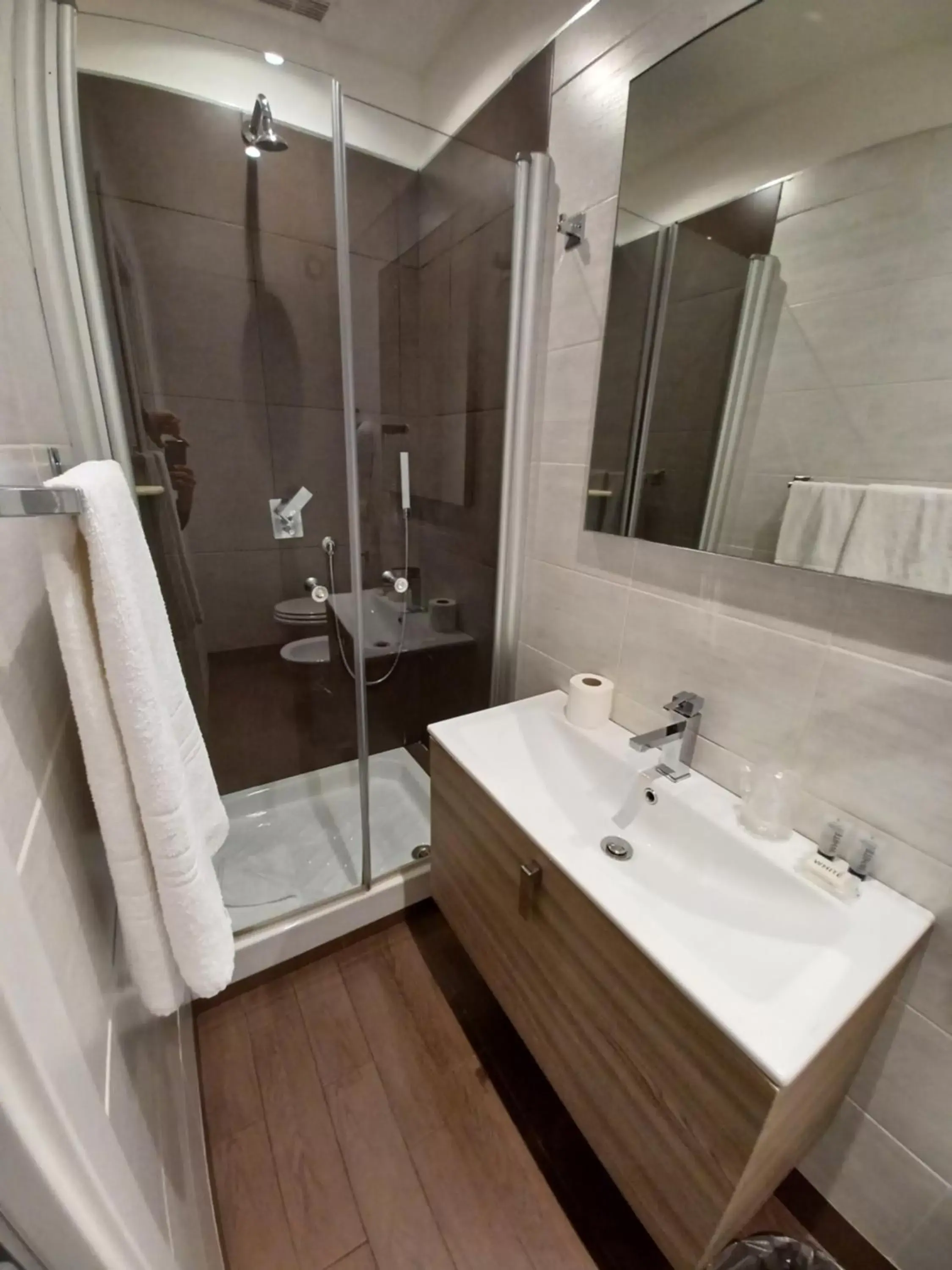 Bathroom in Hotel Mimosa Pantheon