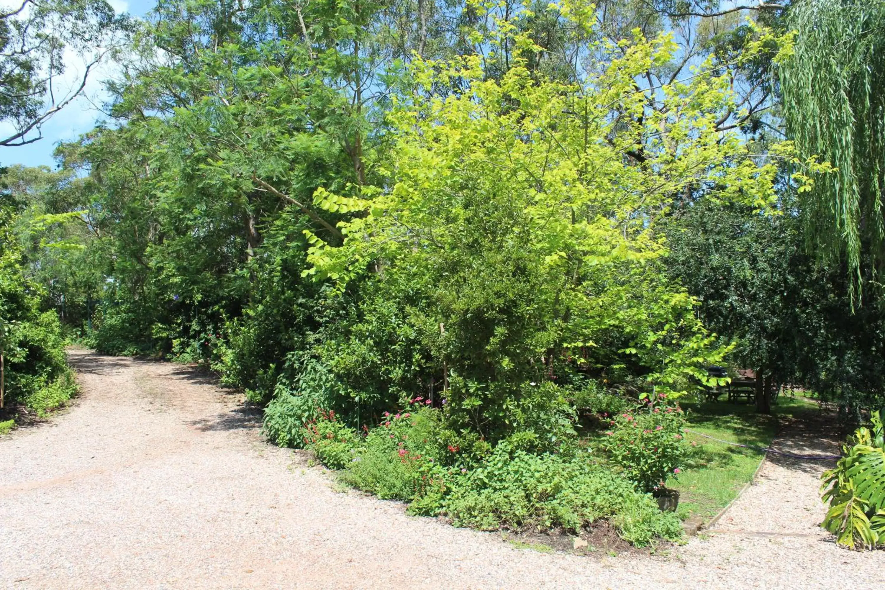 Garden in Storey Grange