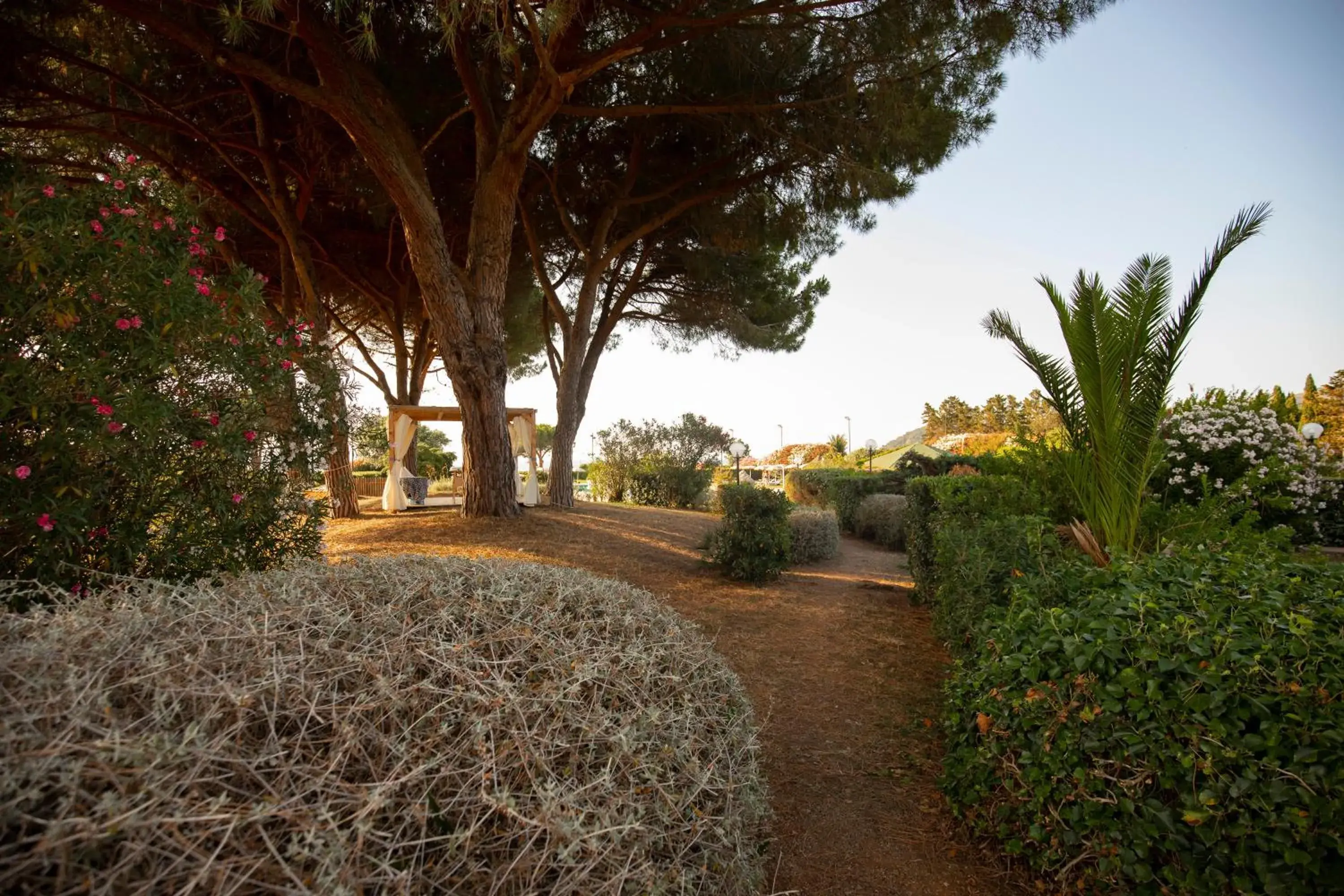 Garden in Hotel Fabricia