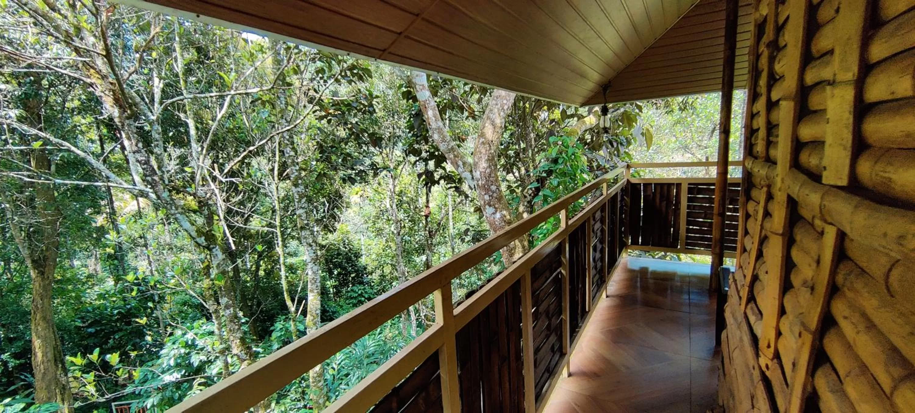 Balcony/Terrace in Chalona Jungle Vibe