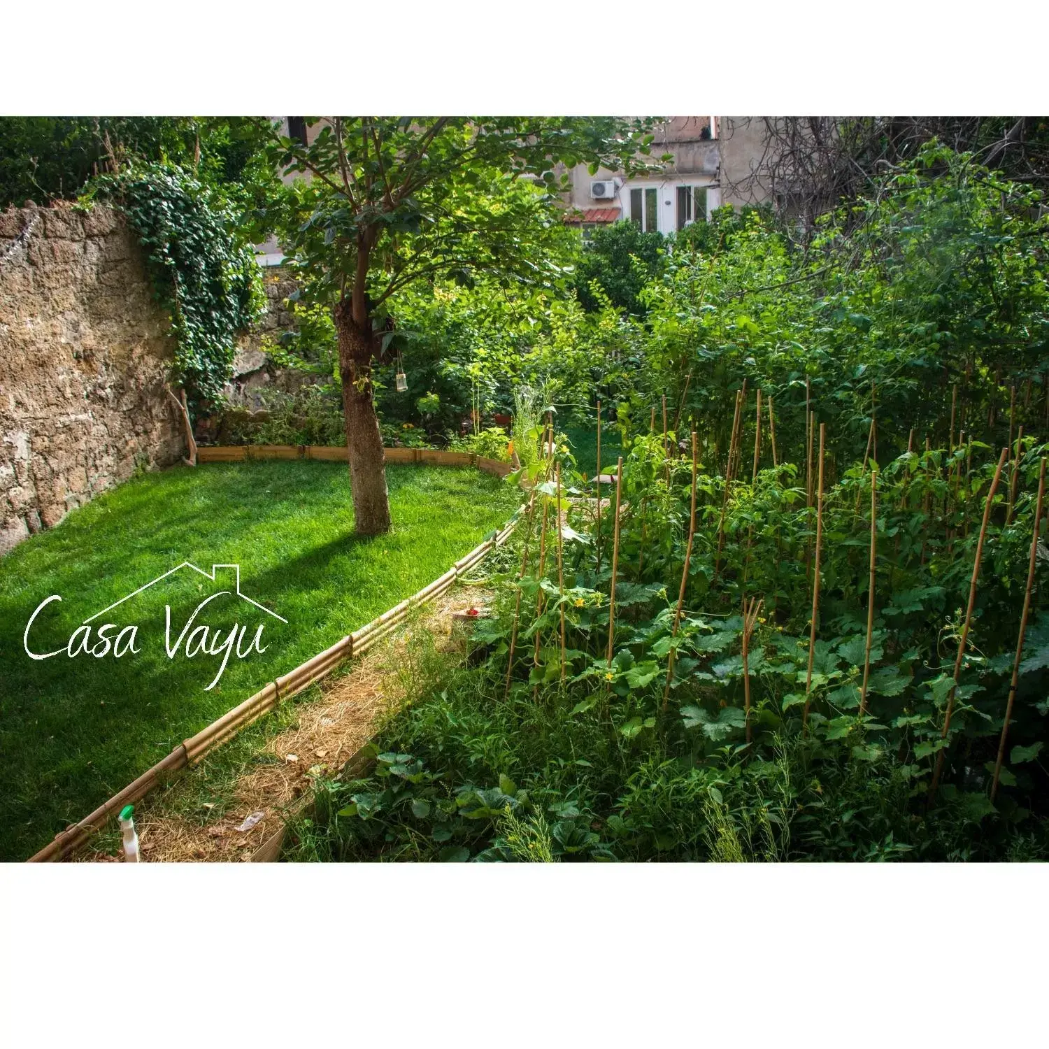 Natural landscape in Casa Vayu - Rooms & Garden