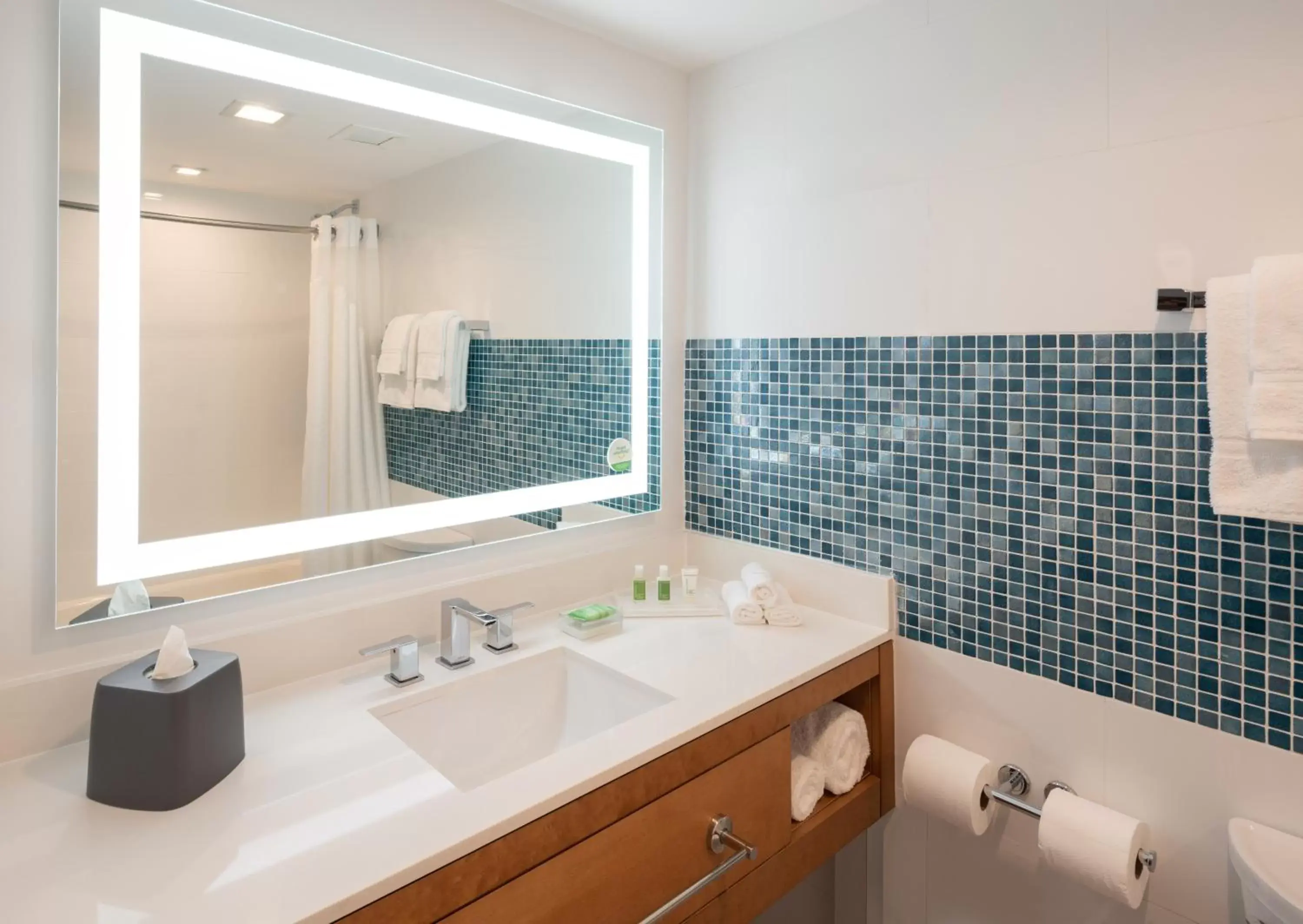 Bath, Bathroom in Holiday Inn Miami North I-95, an IHG Hotel