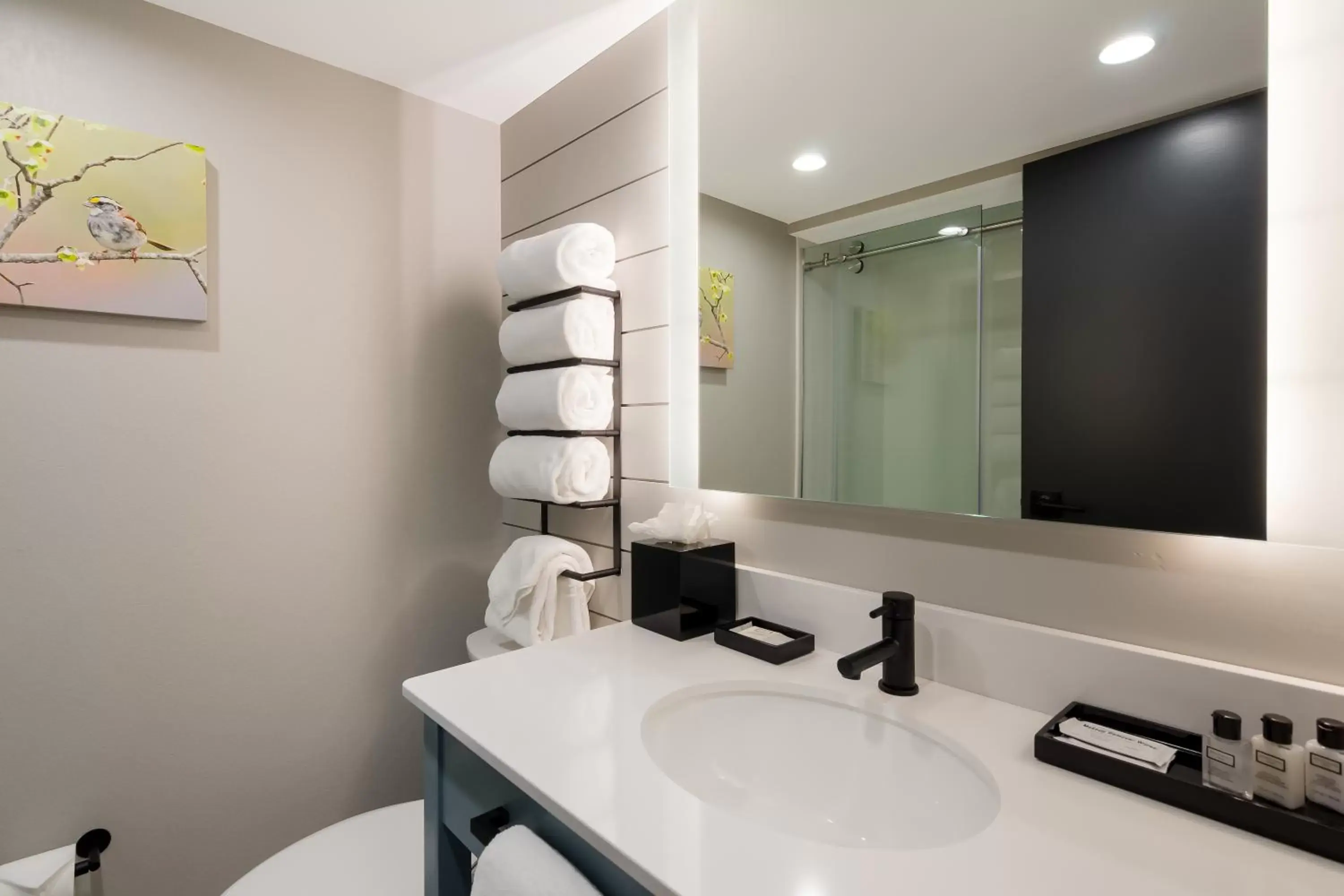 Bathroom in Graystone Lodge, Ascend Hotel Collection