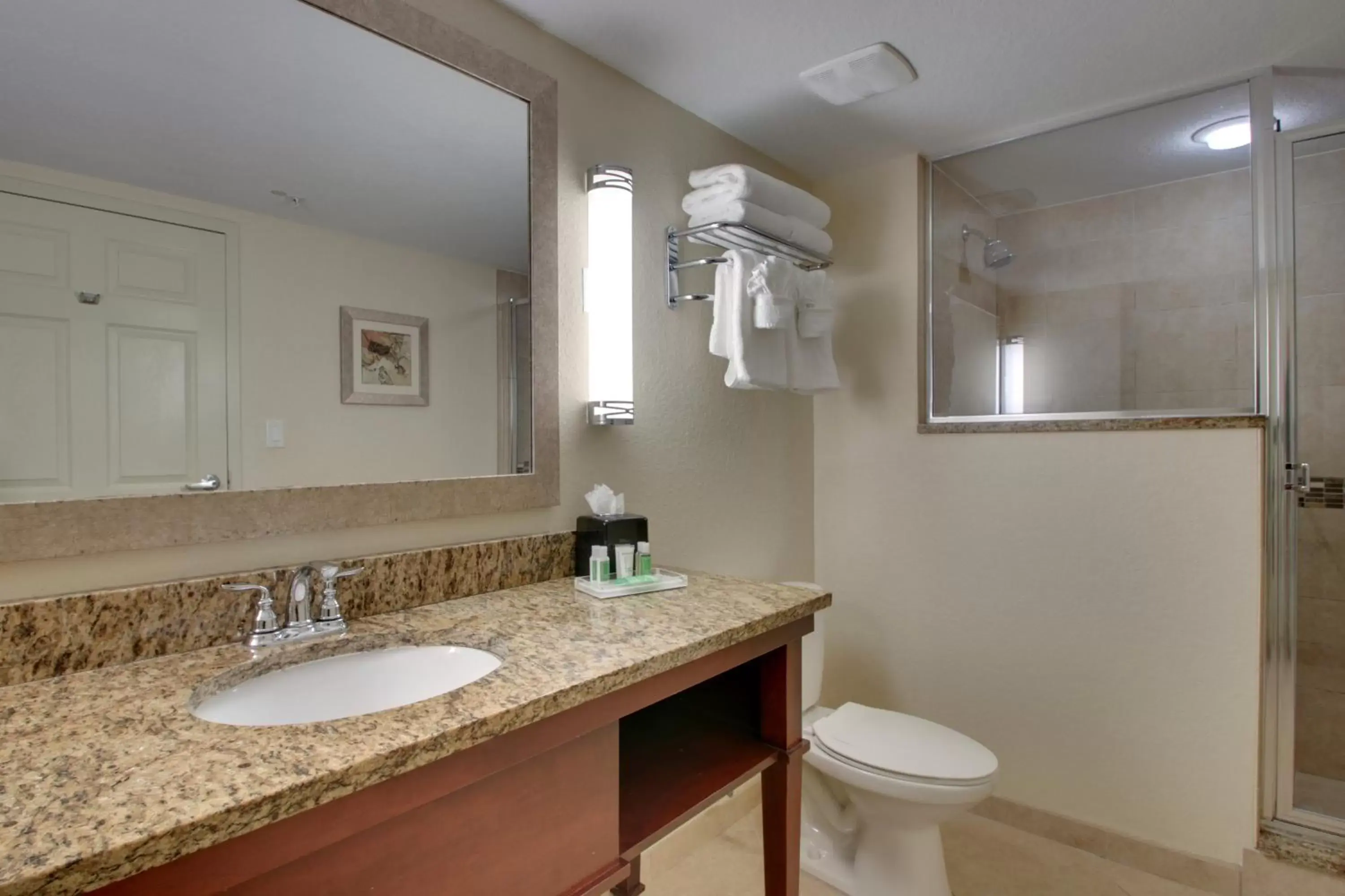Bathroom in Holiday Inn Resort Orlando - Lake Buena Vista, an IHG Hotel