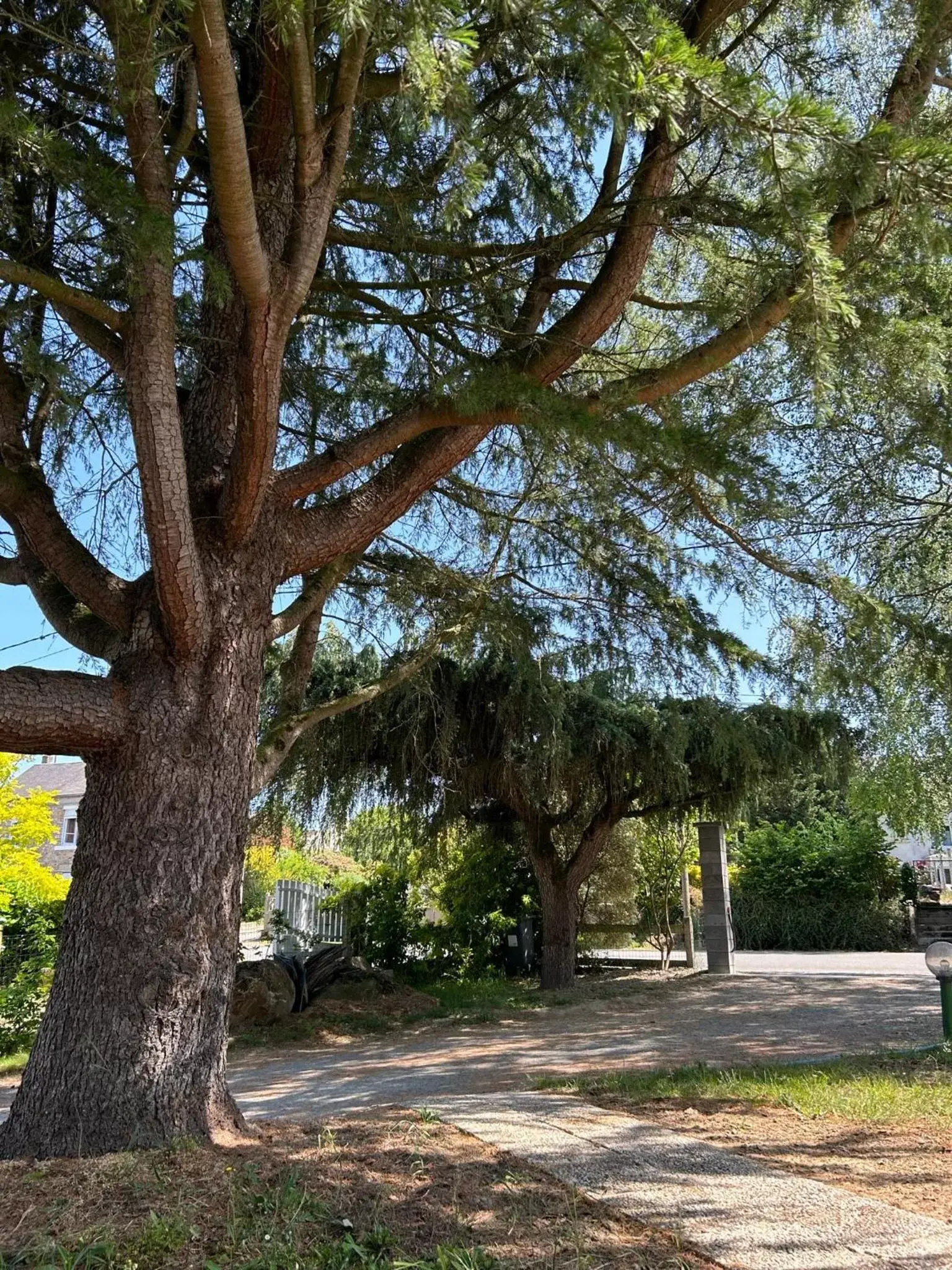 Natural landscape, Garden in ARC EN CIEL B&B