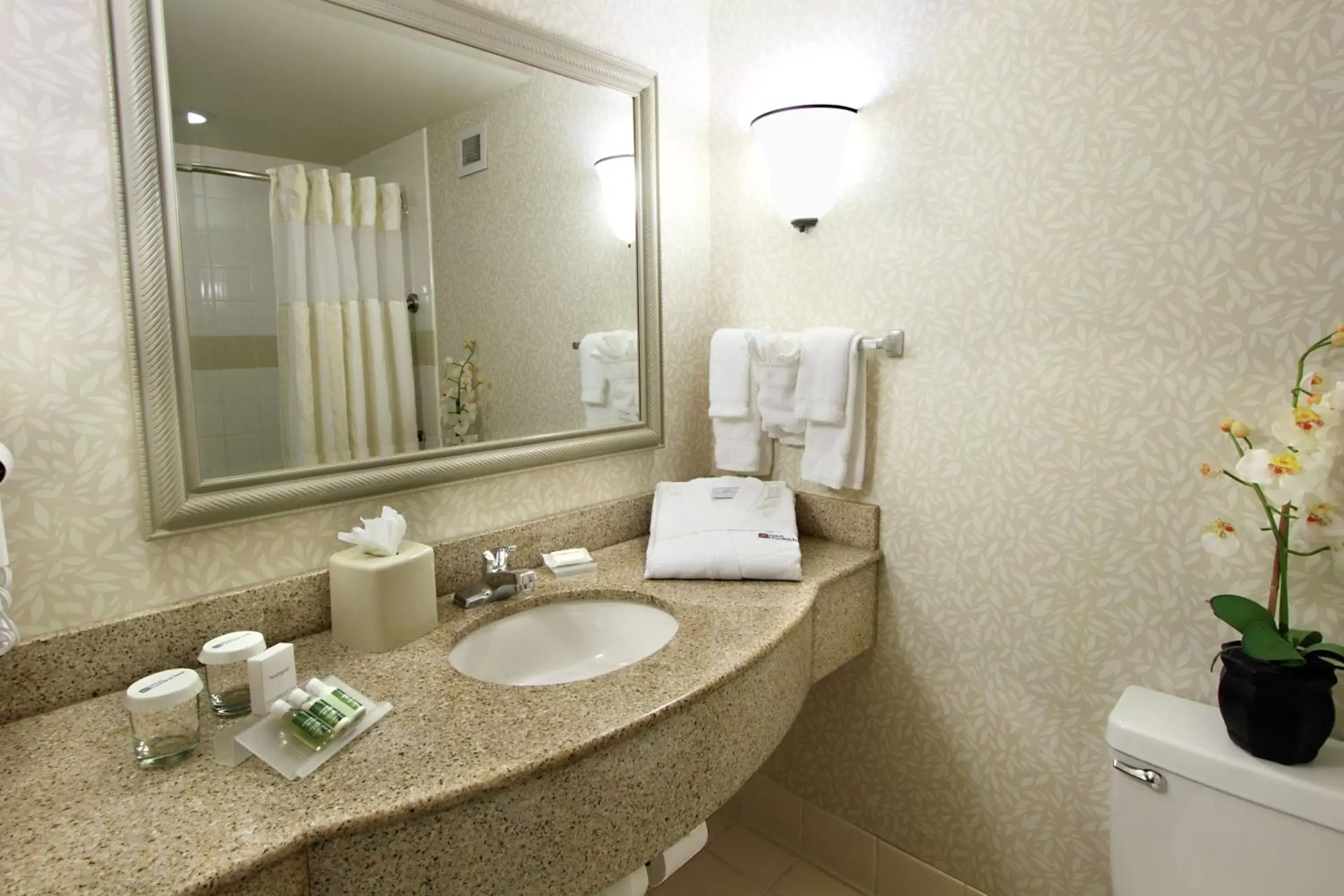 Bathroom in Hilton Garden Inn Ft. Lauderdale Airport-Cruise Port