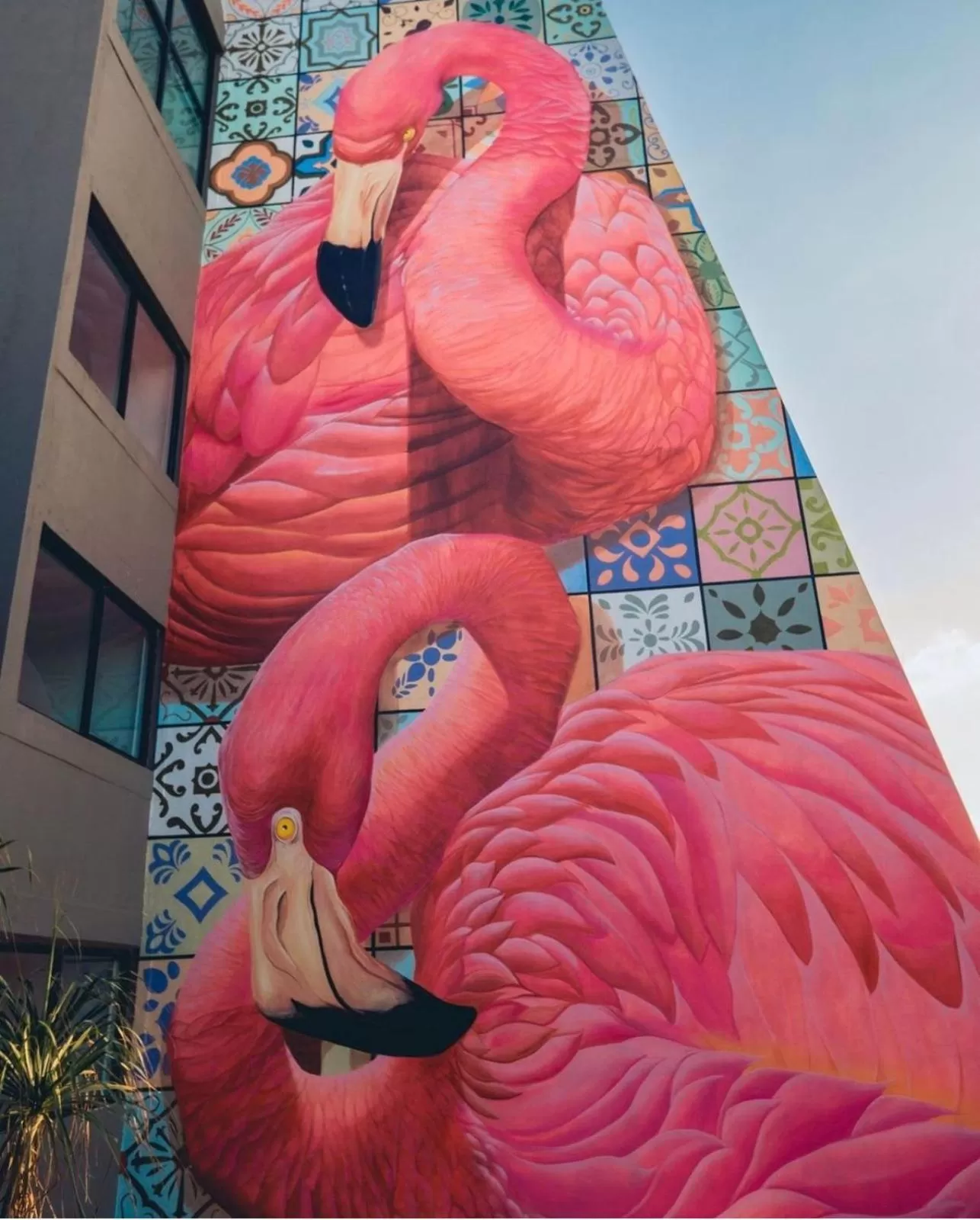 Property building in Flamingo Cancun All Inclusive