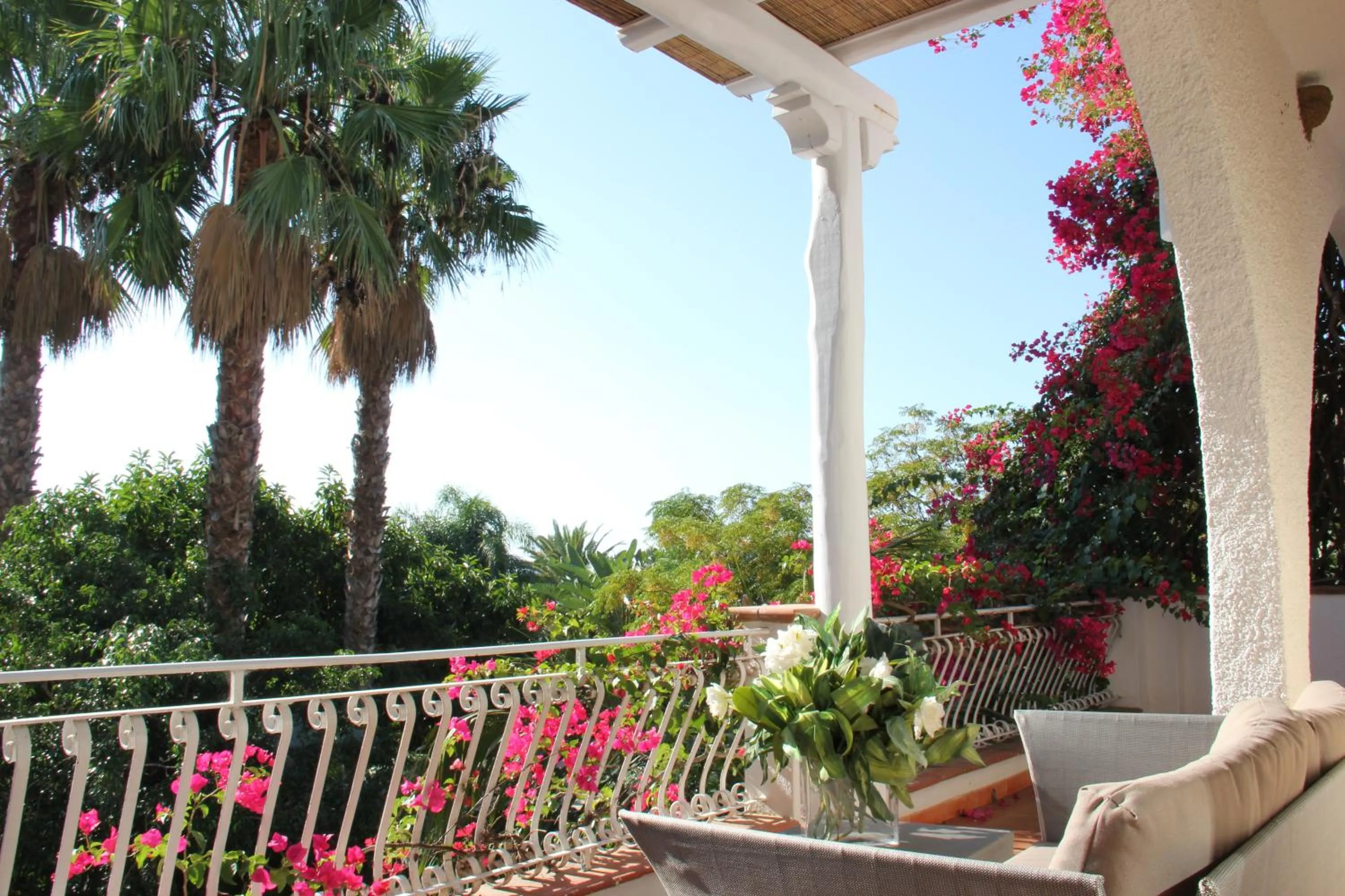 View (from property/room) in Hotel Simius Playa