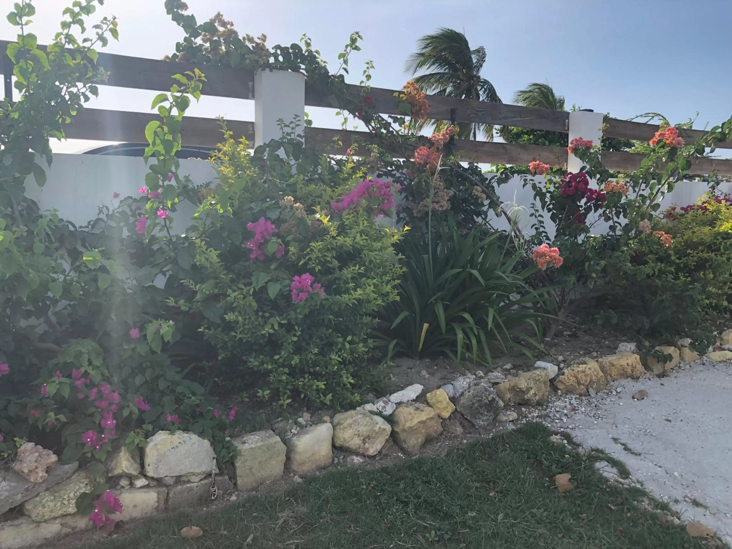 Garden in Airport Beach Hotel