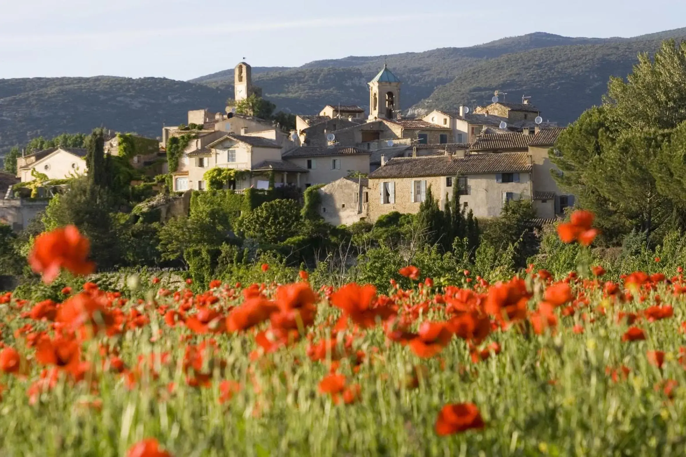 Area and facilities in Mercure Cavaillon