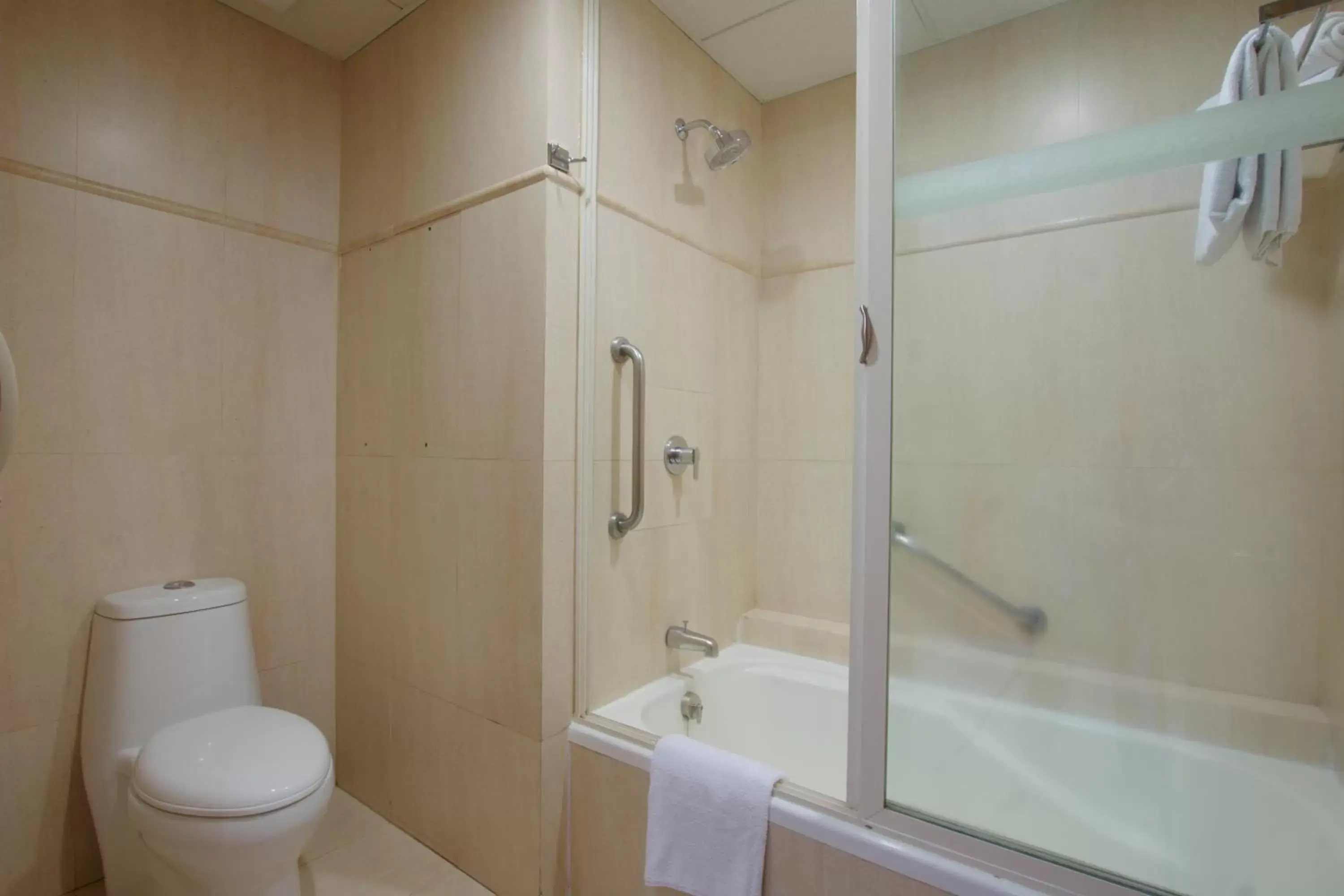 Shower, Bathroom in Crowne Plaza Hotel Mexico City North-Tlalnepantla, an IHG Hotel